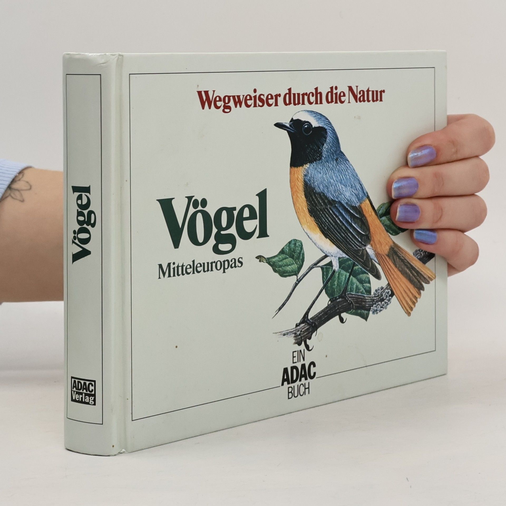Vögel Mitteleuropas