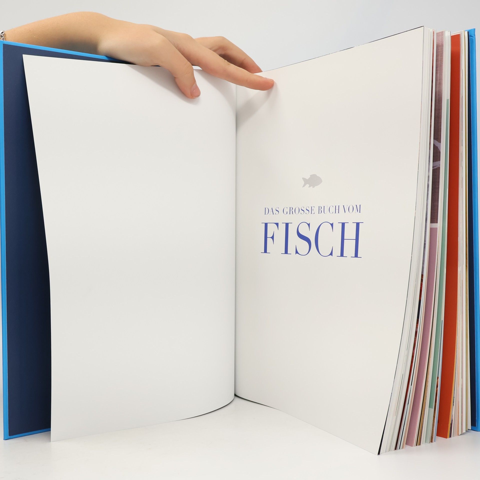 Martin Baudrexel Das große Buch vom Fisch