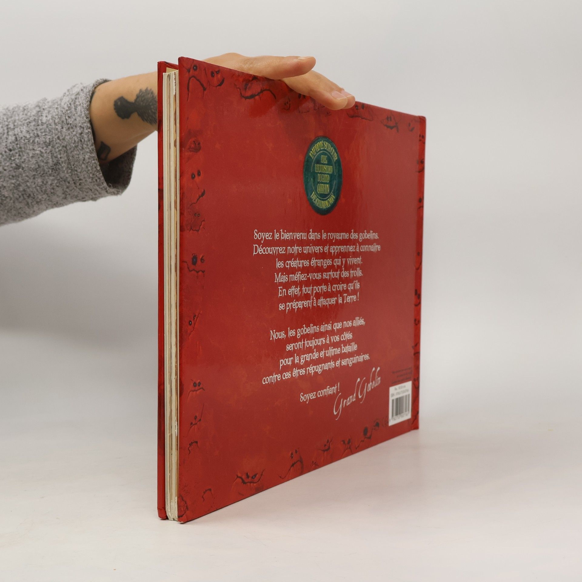 Danny Willis Les Gobelins: Grand livre officiel du royaume de Grrym