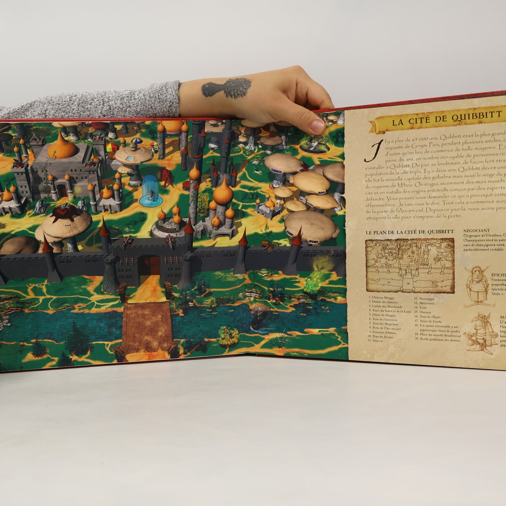 Danny Willis Les Gobelins: Grand livre officiel du royaume de Grrym