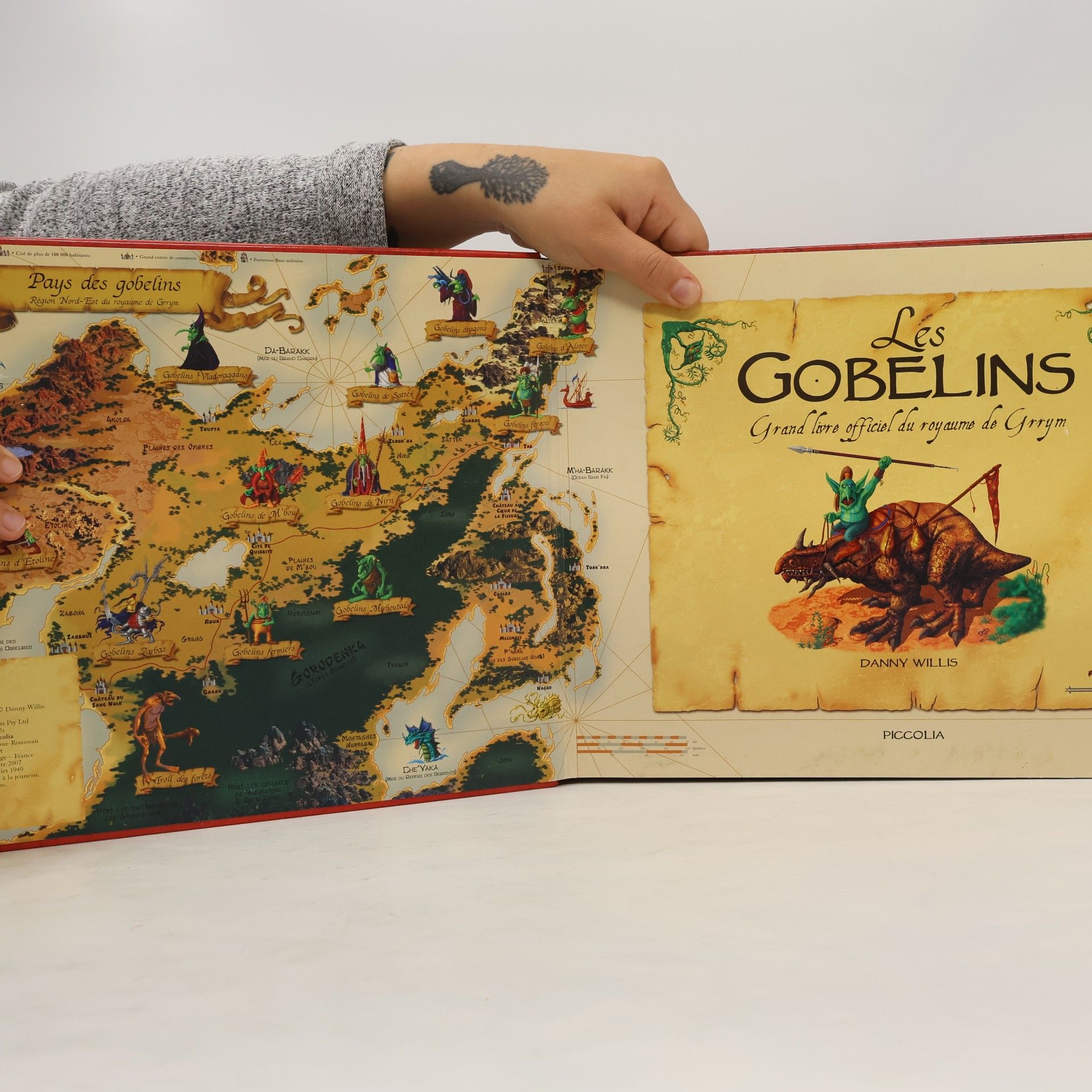 Danny Willis Les Gobelins: Grand livre officiel du royaume de Grrym