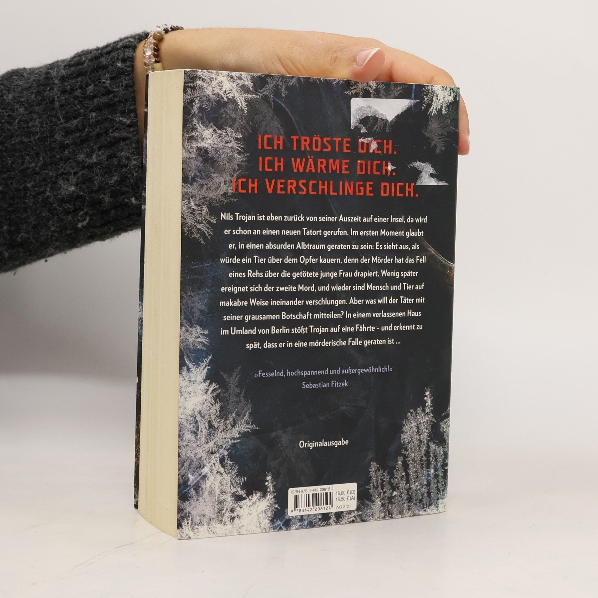Max Bentow Der Eisjunge