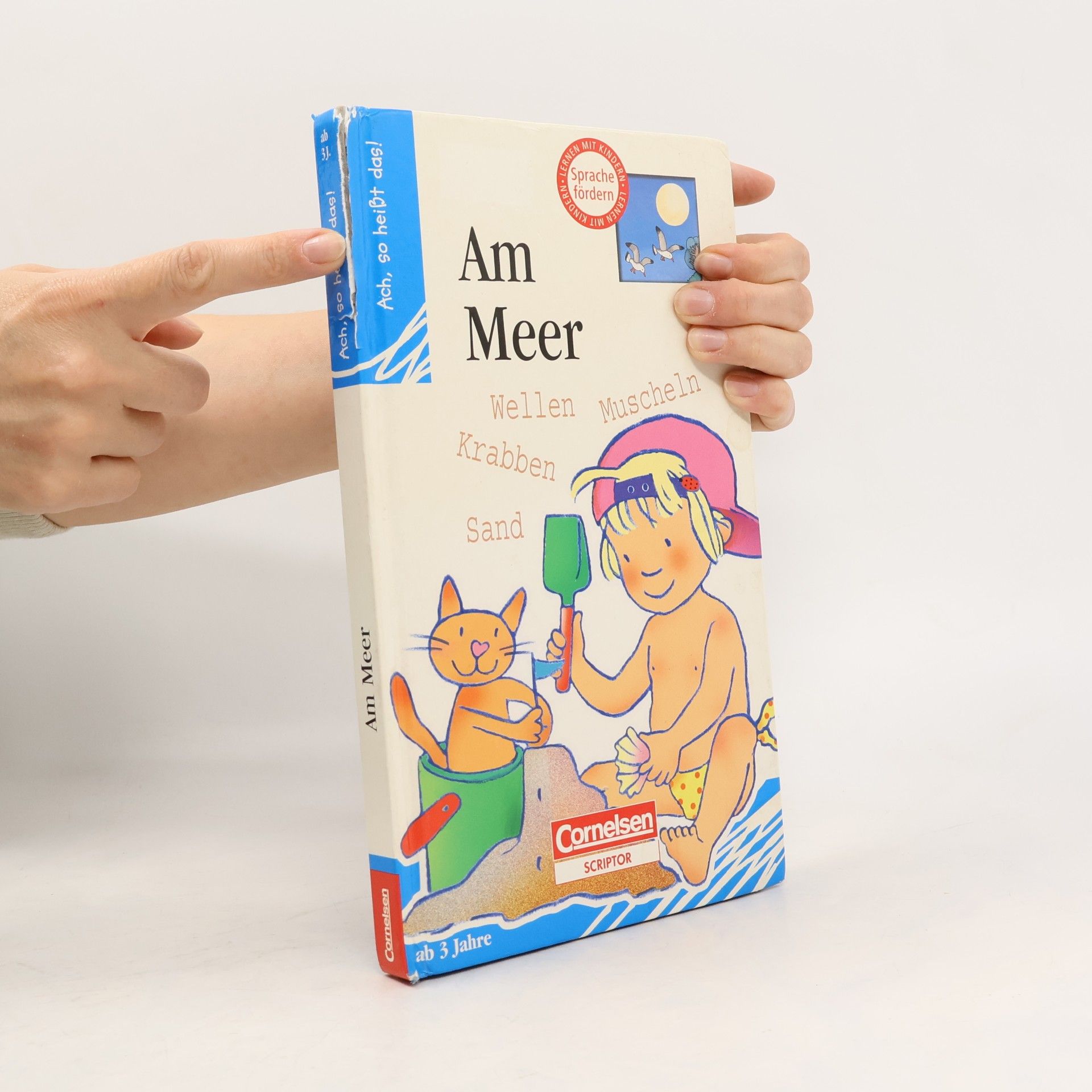 Anna Curti Ach, so heißt das! Am Meer