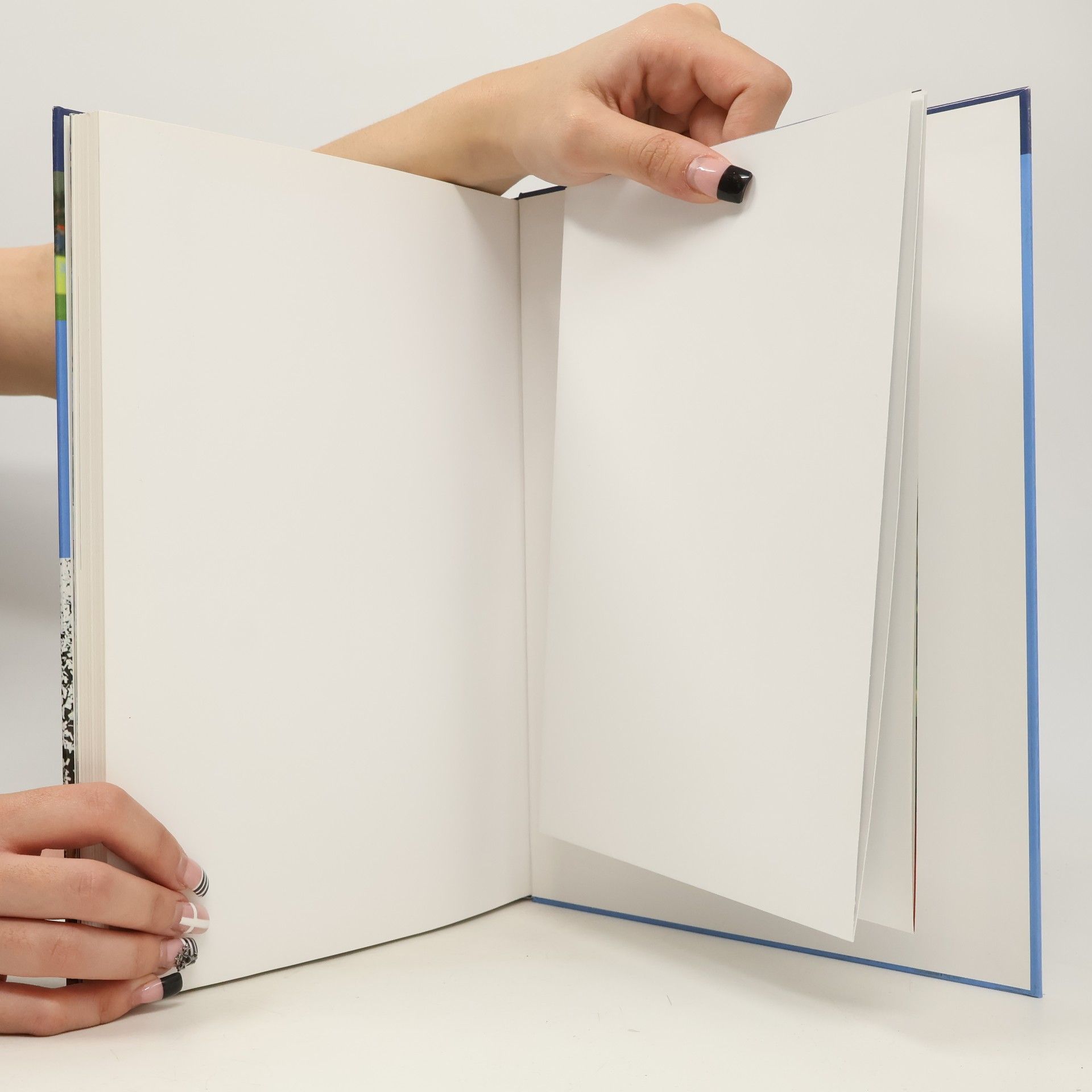 Kolektiv autorů Die FIFA WM. Deutschland 2006. Das Offizielle Buch zum Turnier