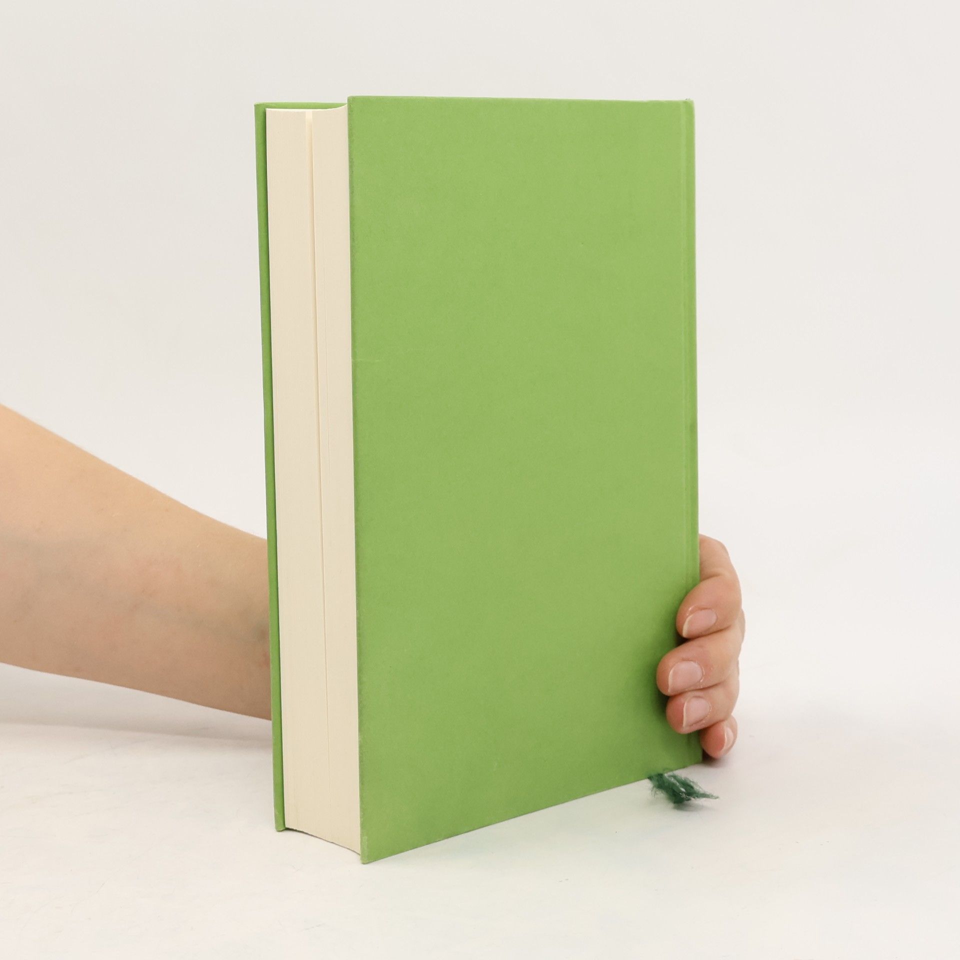 Maeve Binchy Zeit der Kastanienblüte