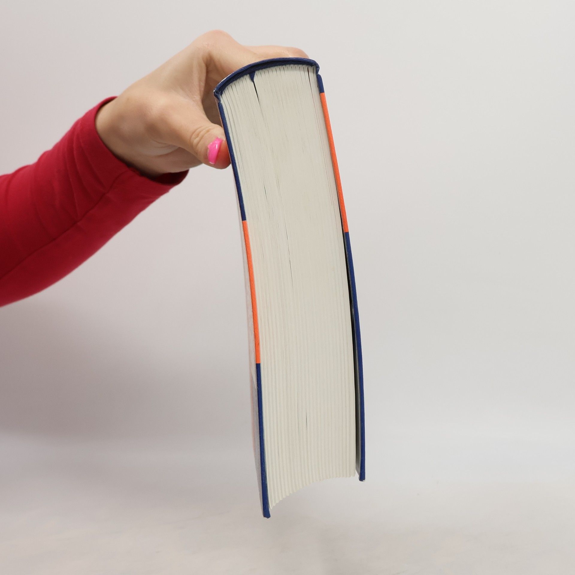 Karl Friedrich Früh Handbuch der Prozeßautomatisierung