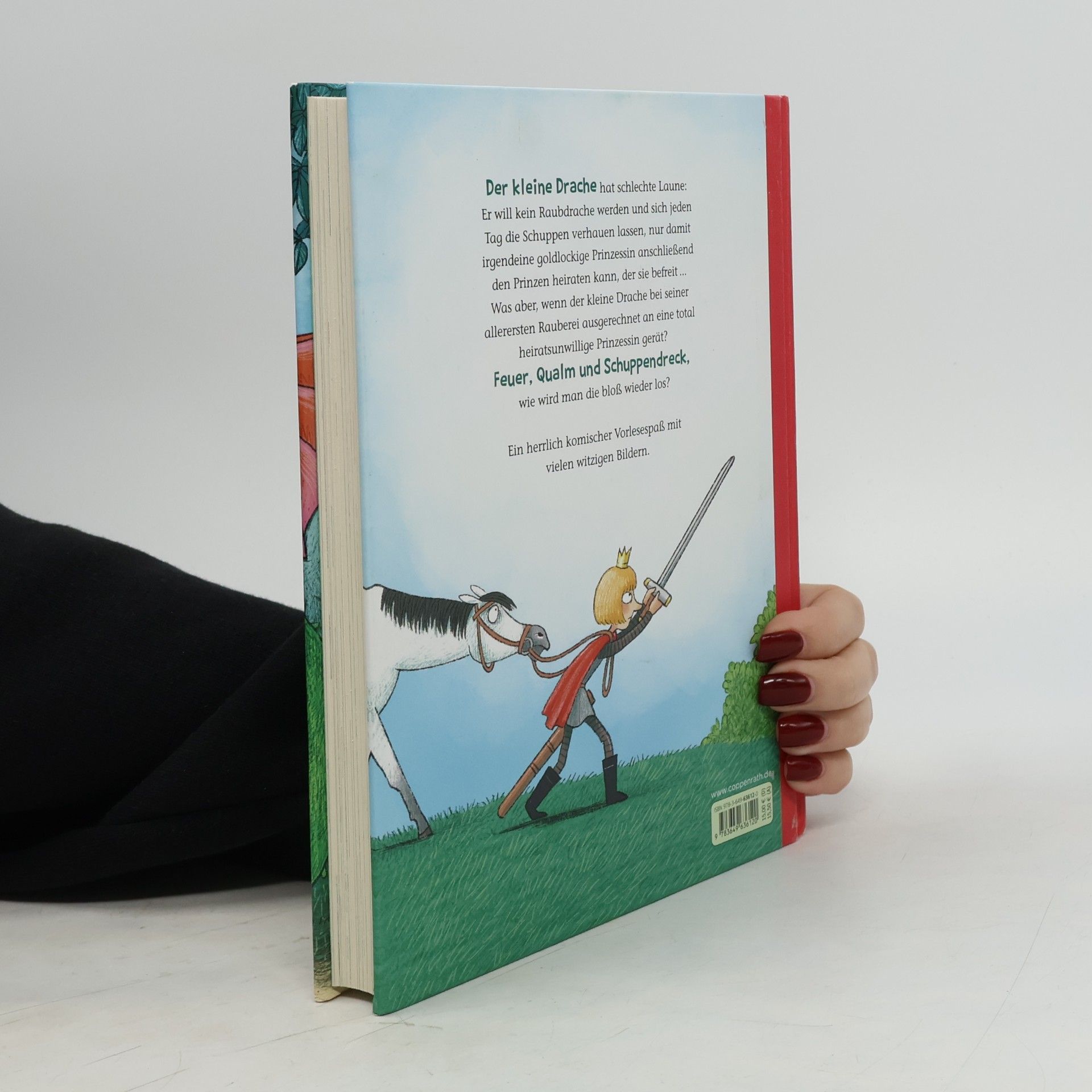 Dagmar H. Mueller Der kleine Raubdrache