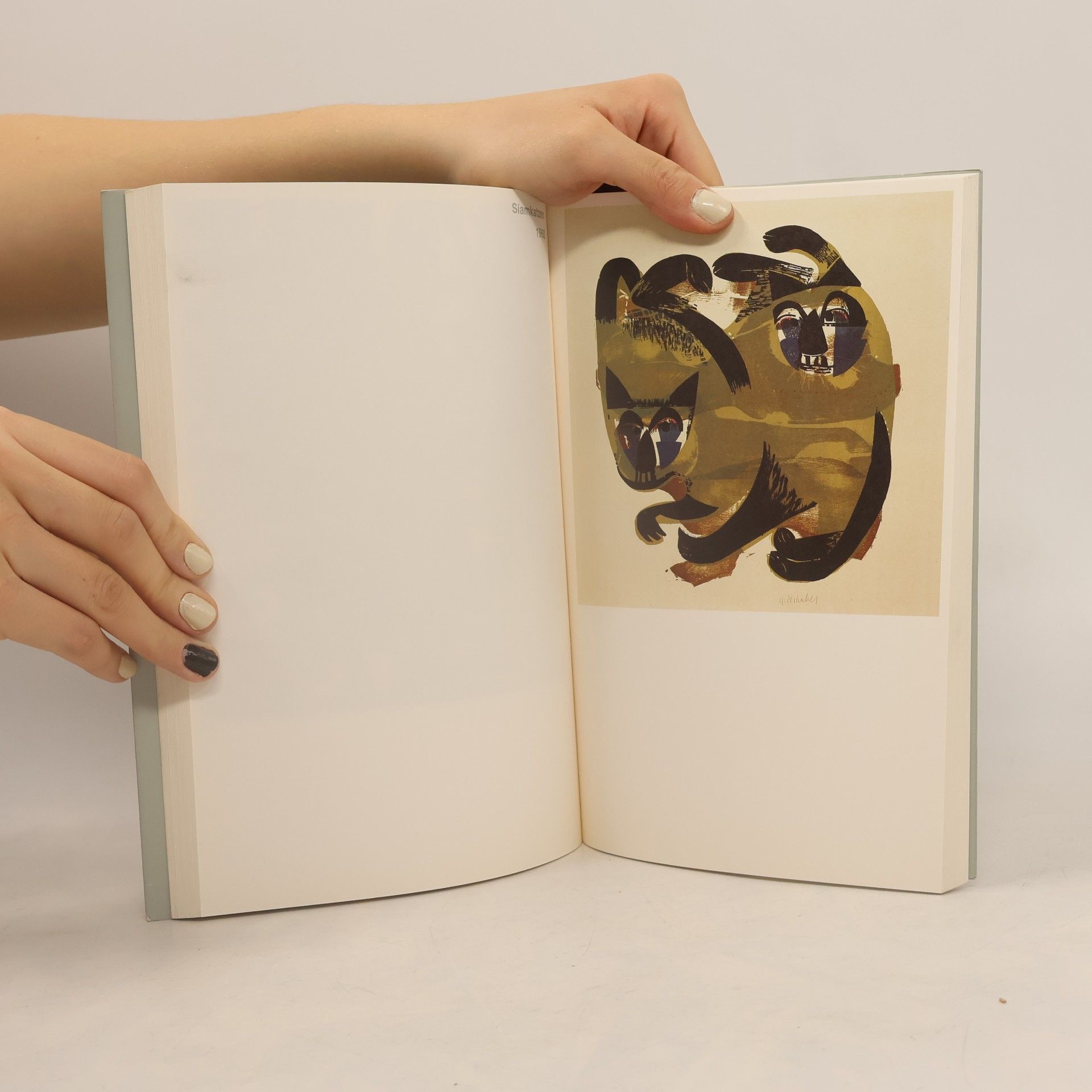 Collectif d'auteurs HAP Grieshaber: Farbholzschnitte