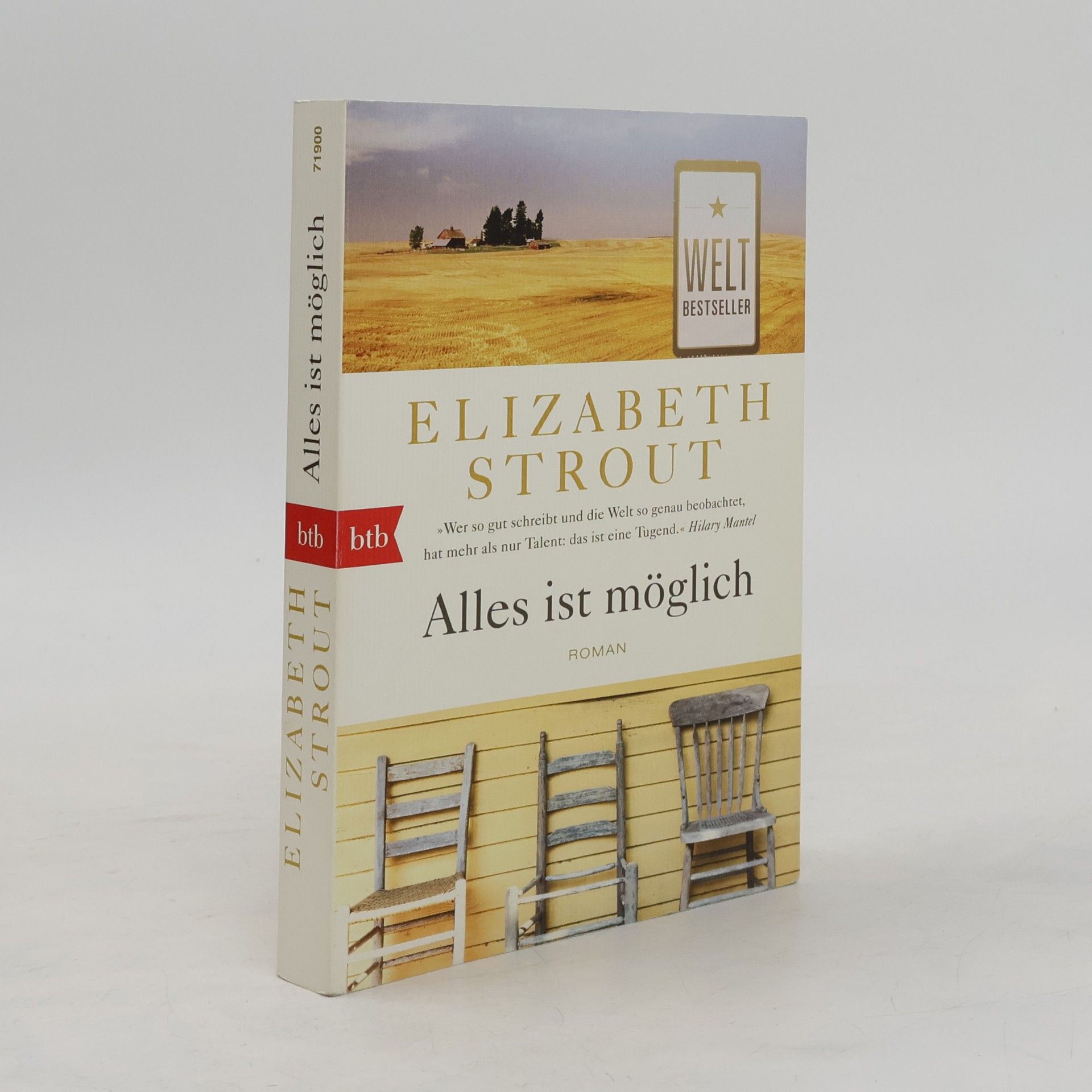 Elizabeth Strout Alles ist möglich