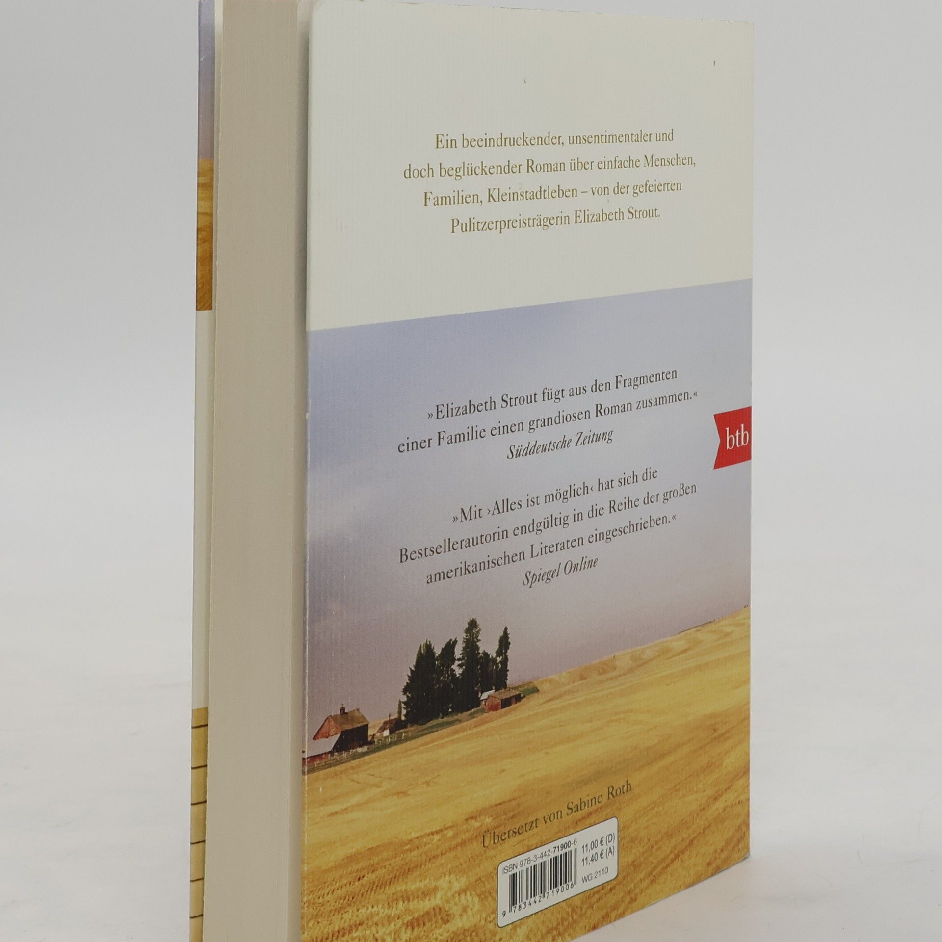 Elizabeth Strout Alles ist möglich