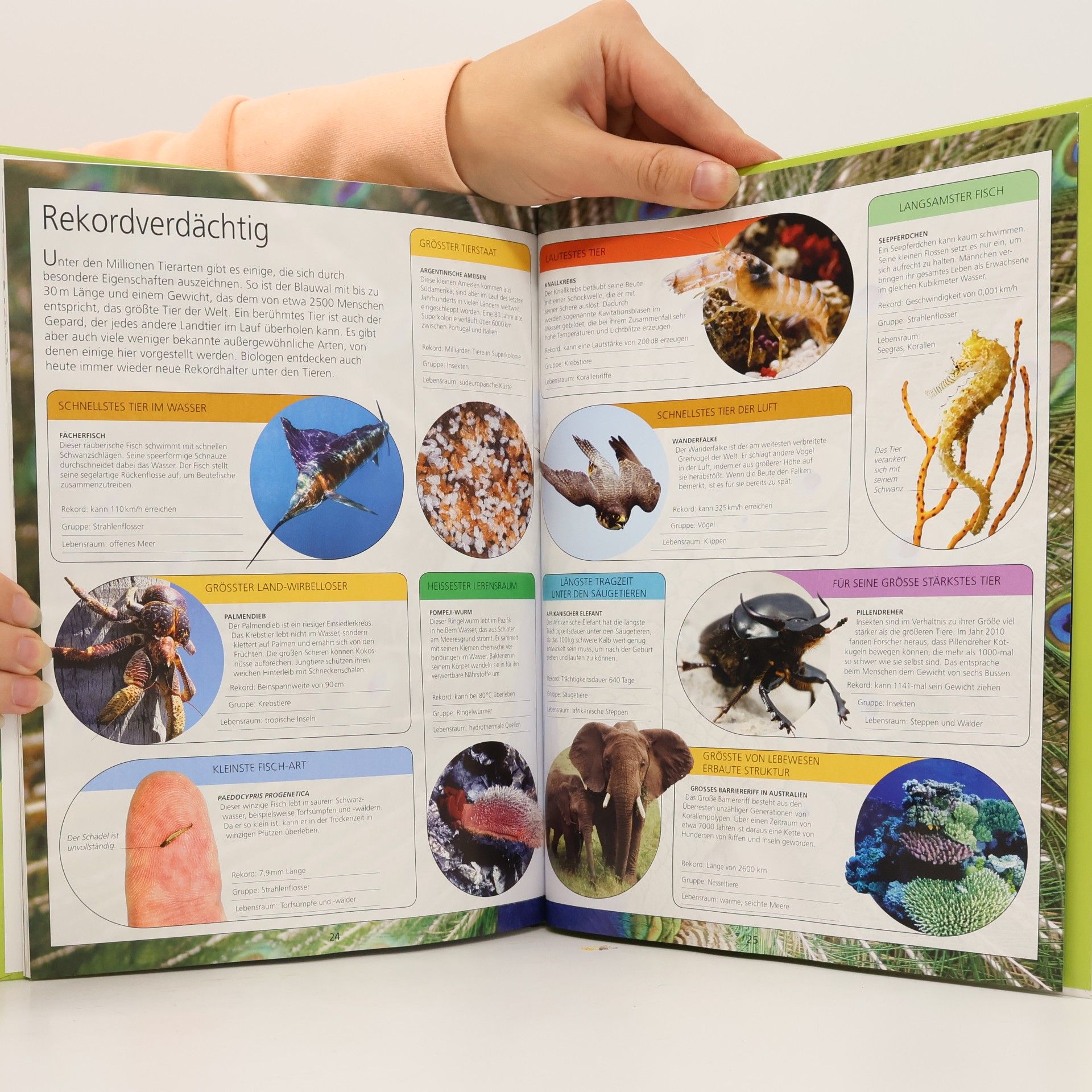 Auteurscollectief Welt der Tiere