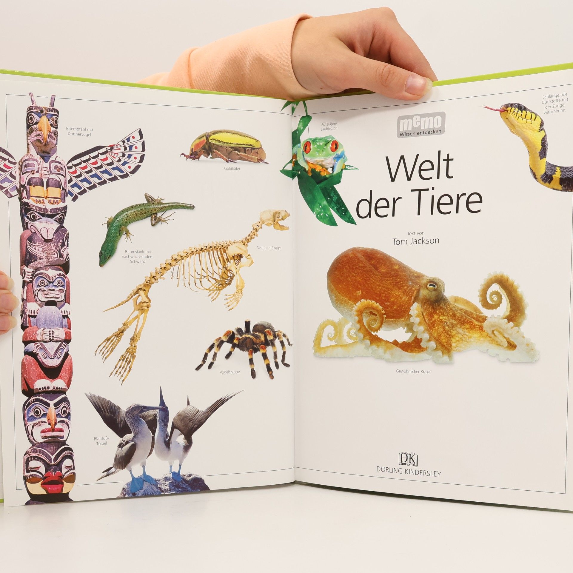 Auteurscollectief Welt der Tiere