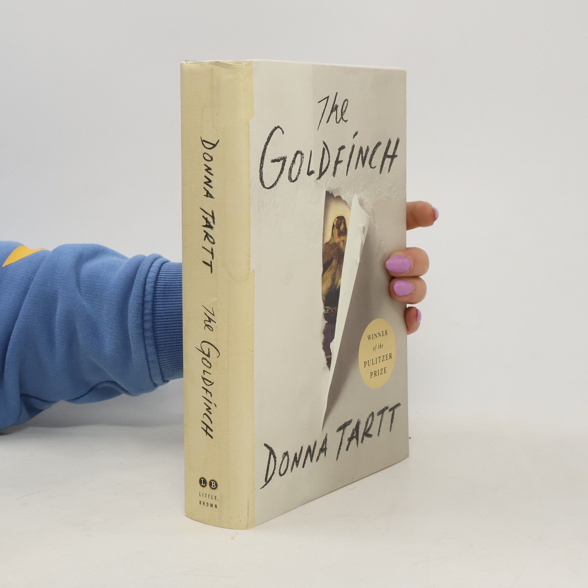Donna Tartt The Goldfinch