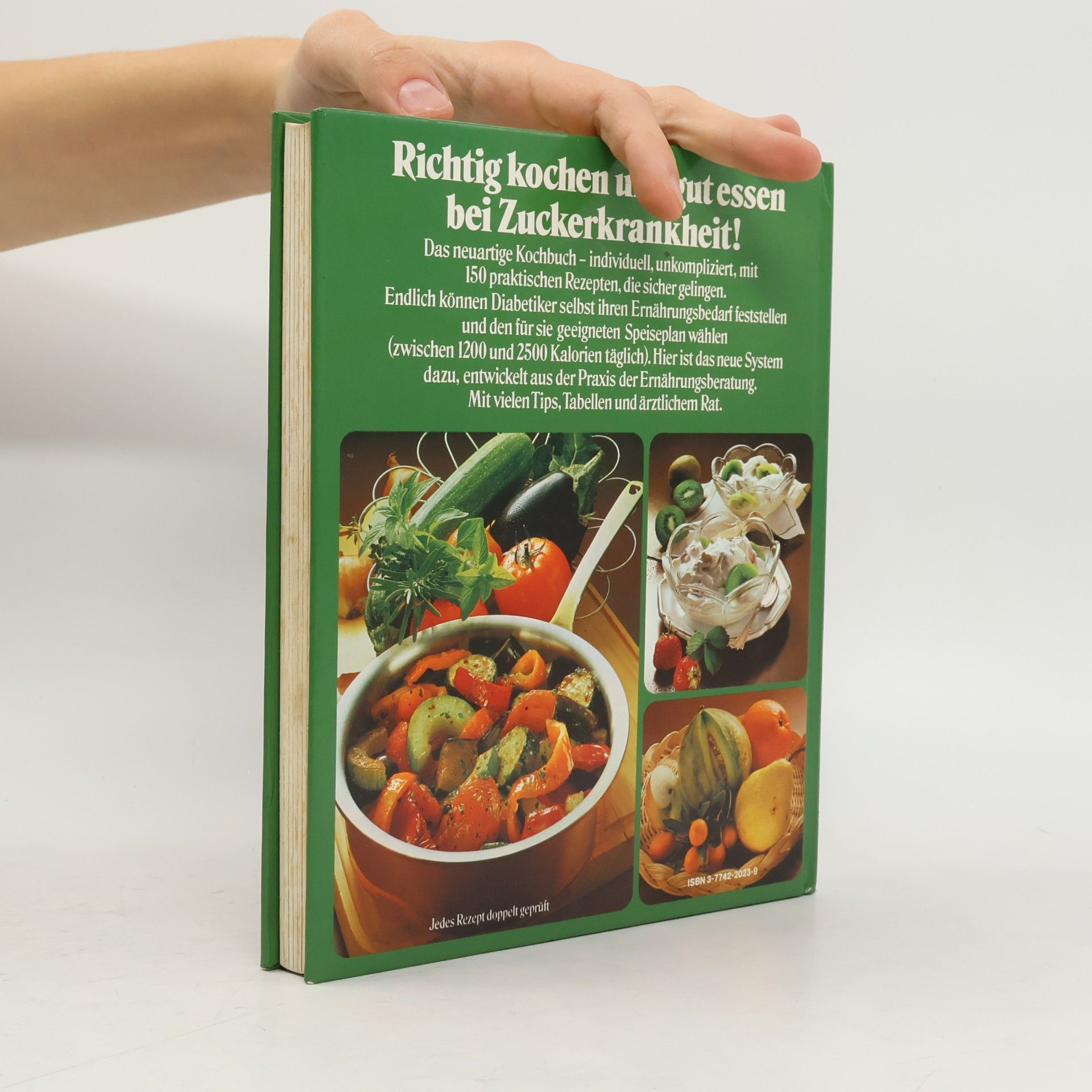 Luise Nassauer Das neue Kochbuch für Diabetiker