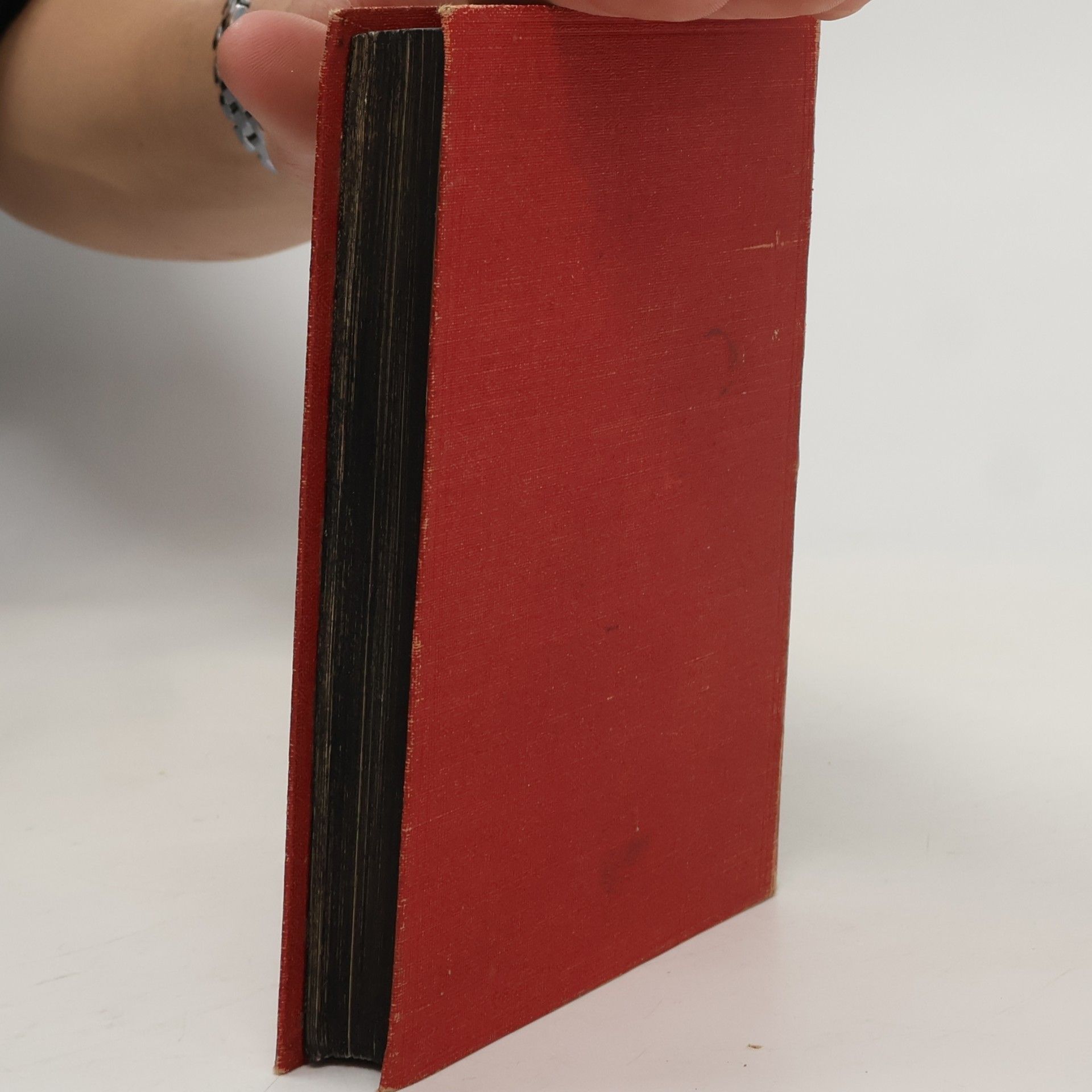 Zuccoli Luc. 1000 nejkrásnějších novel