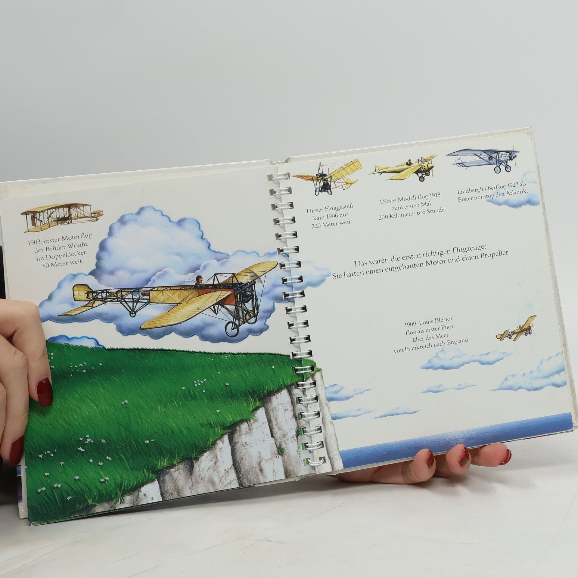Donald Grant Das Flugzeug