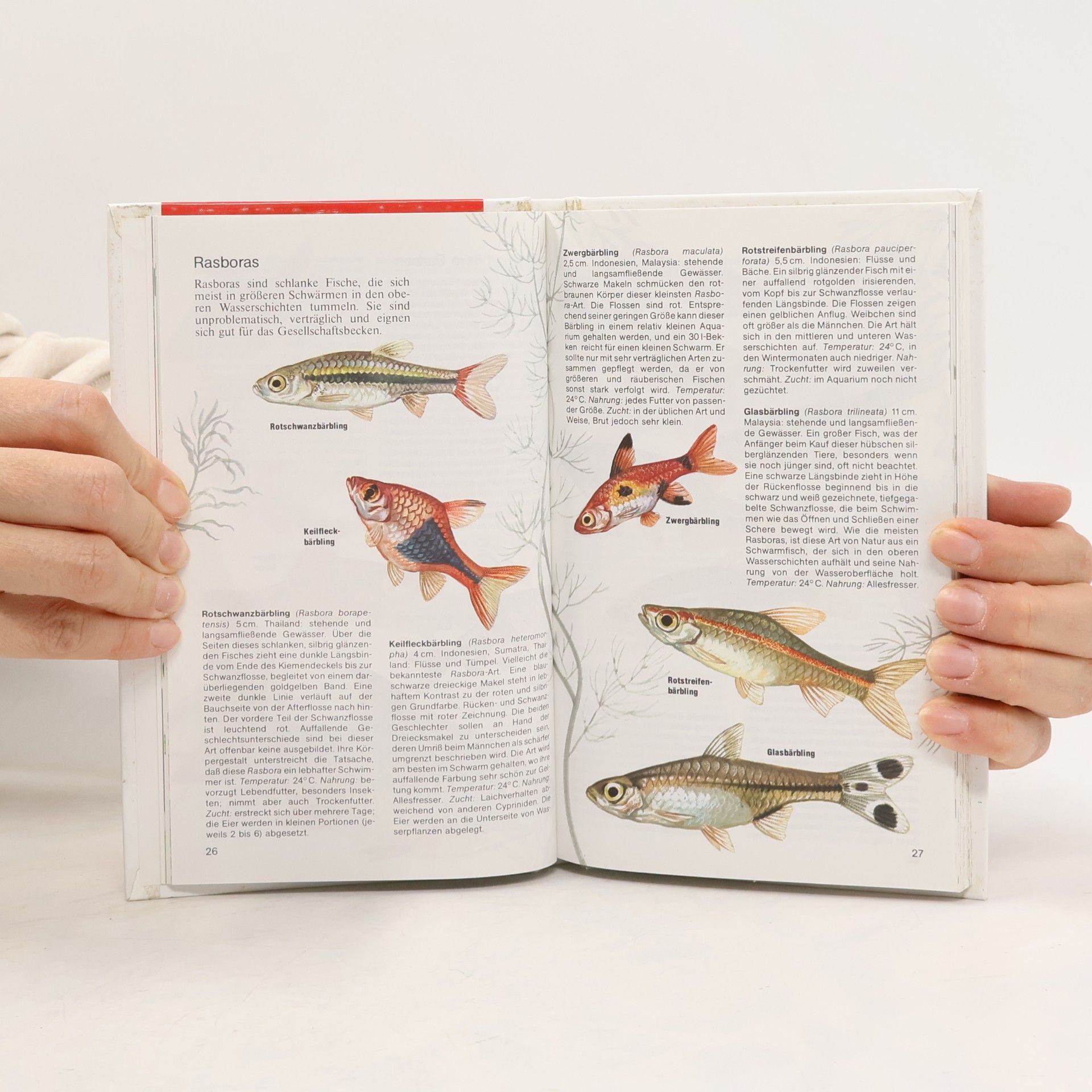 Dick Mills Aquarienfische