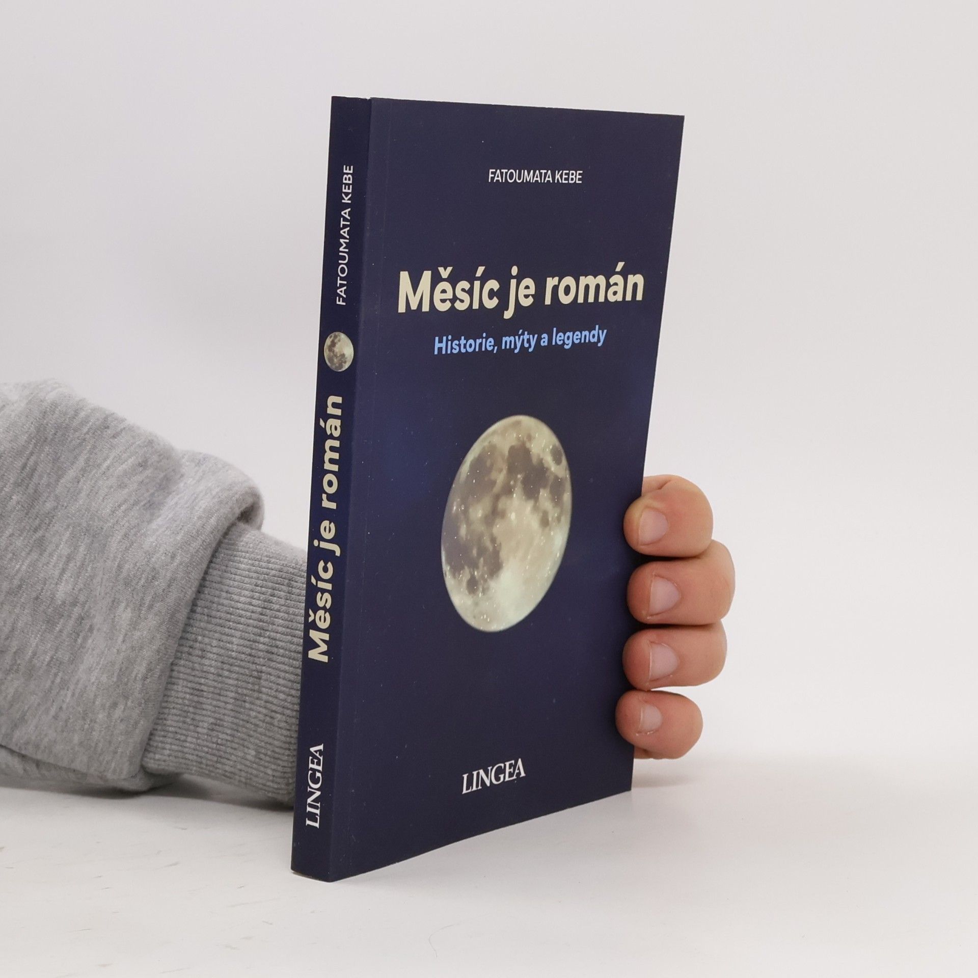 Měsíc je román