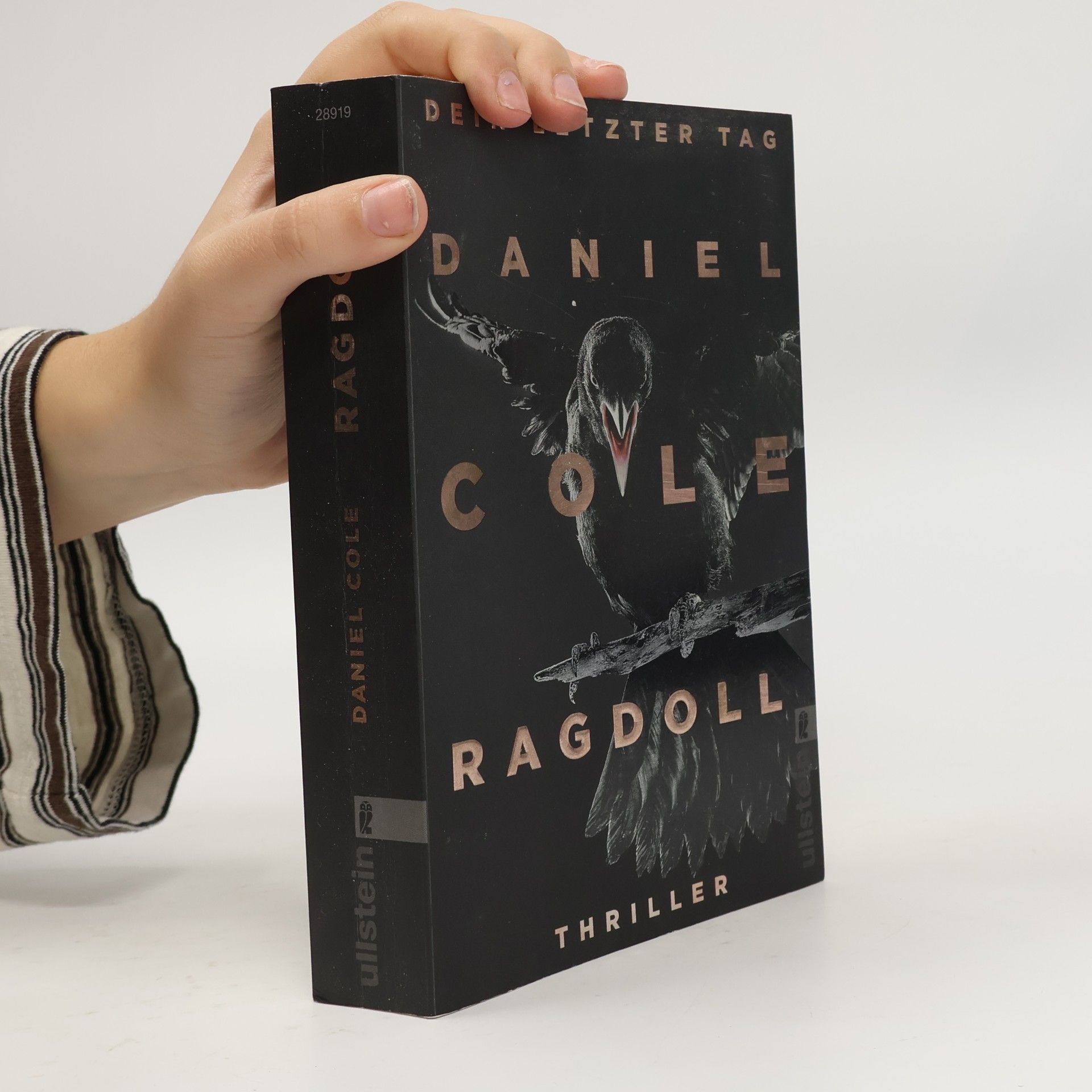 Daniel Cole Ragdoll