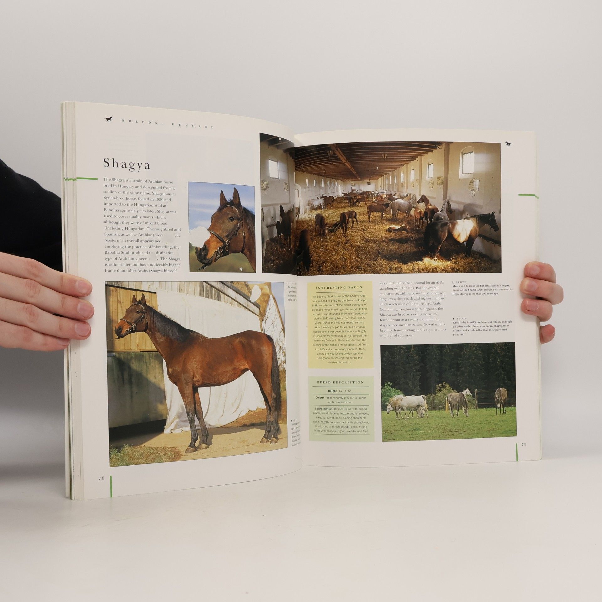 Judith Draper The Ultimate Encyclopedia of Horse Breeds and Horse Care