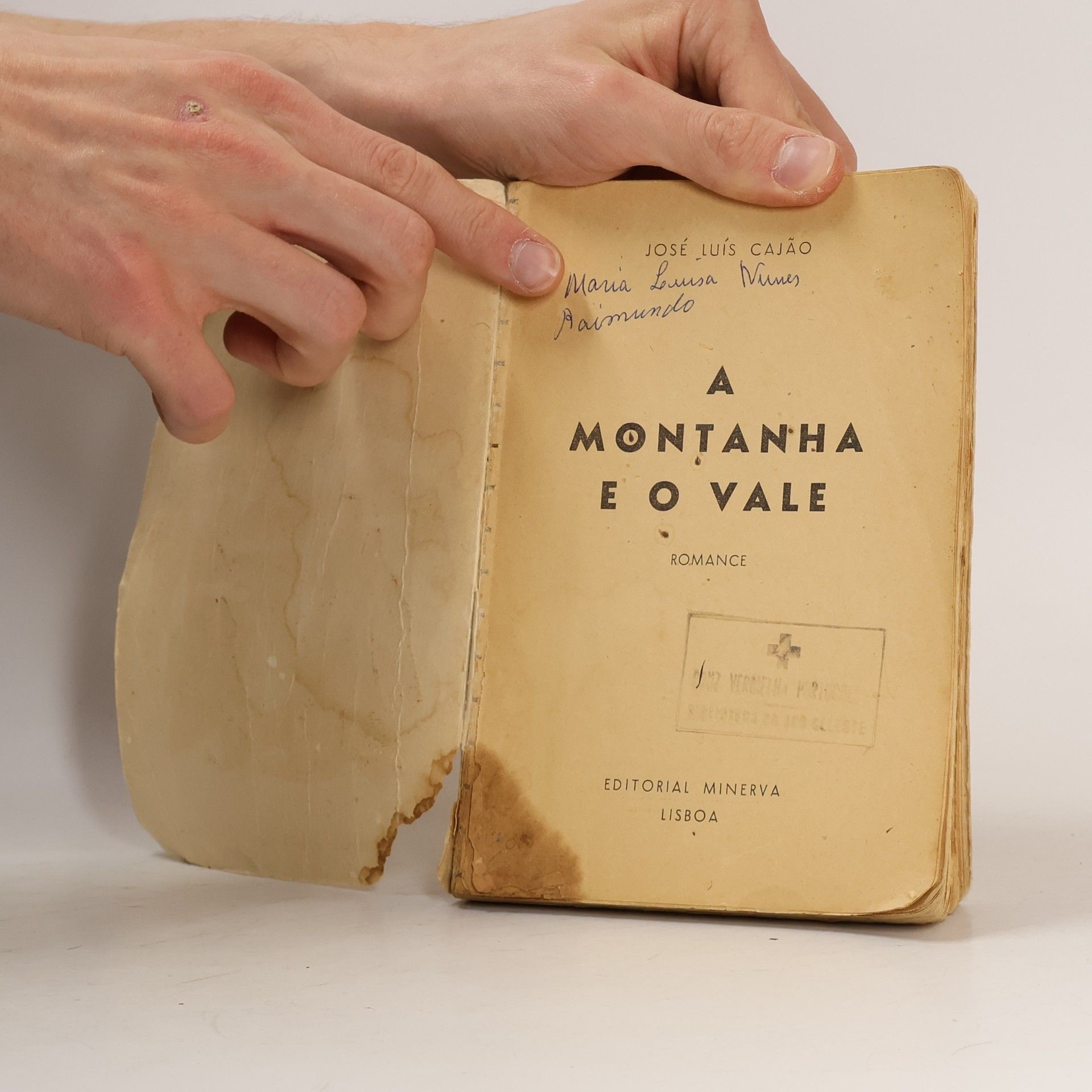 José Luís Cajão A montanha e o vale