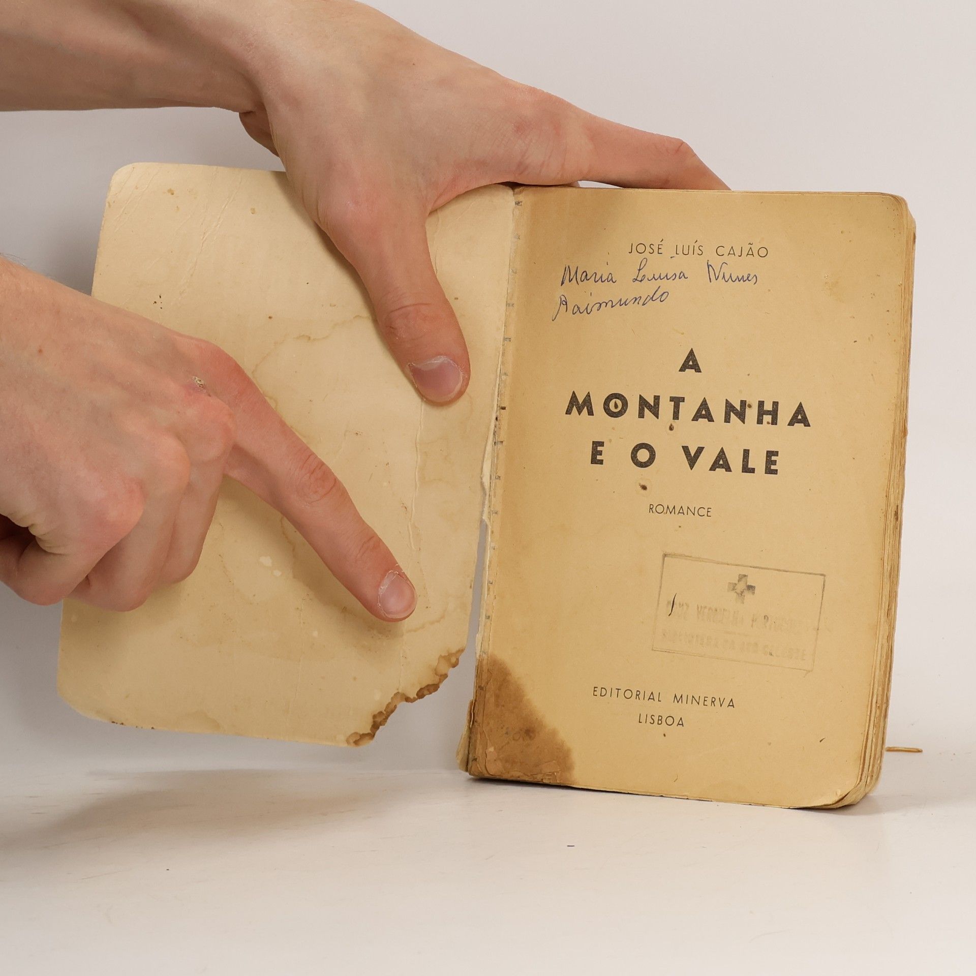 José Luís Cajão A montanha e o vale