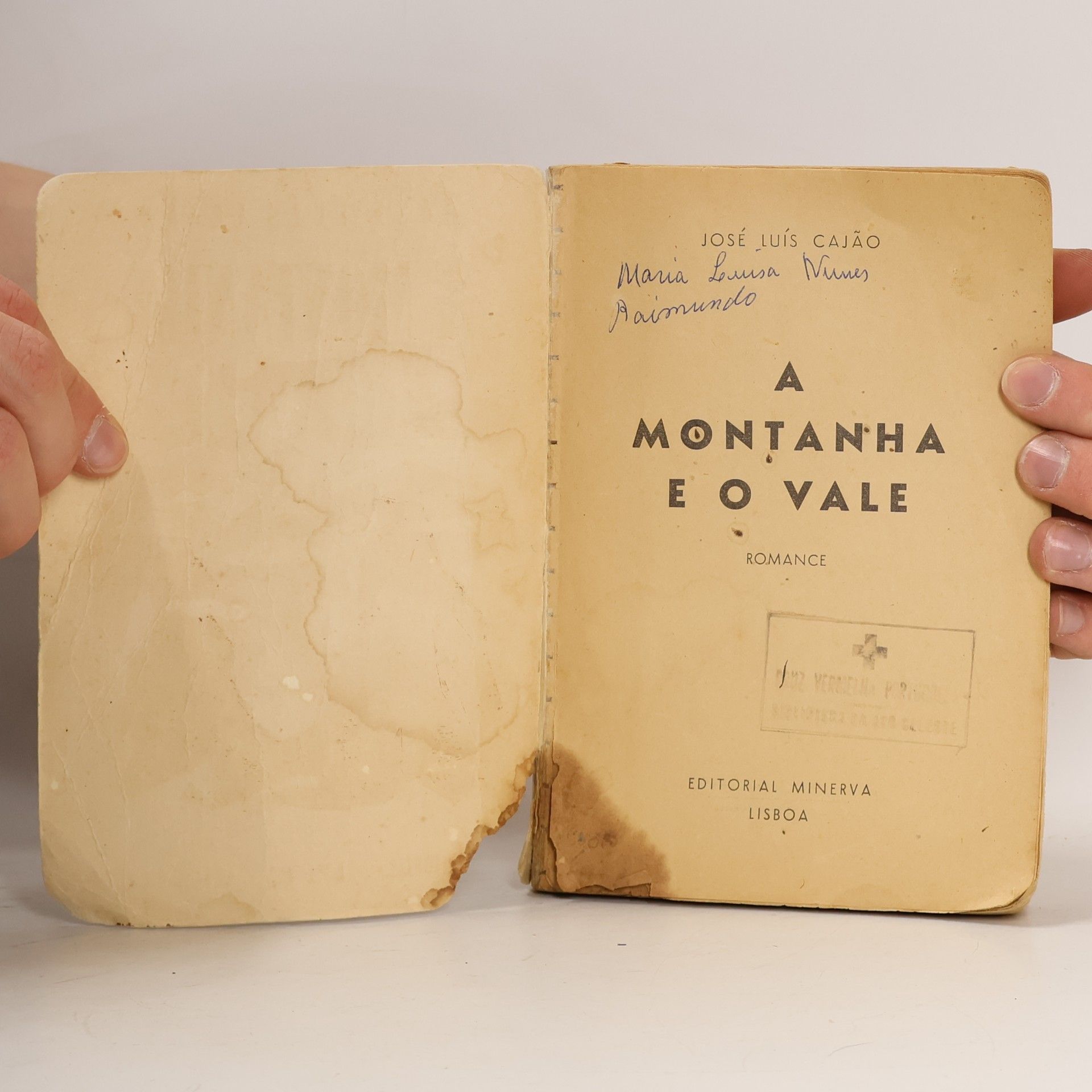 José Luís Cajão A montanha e o vale