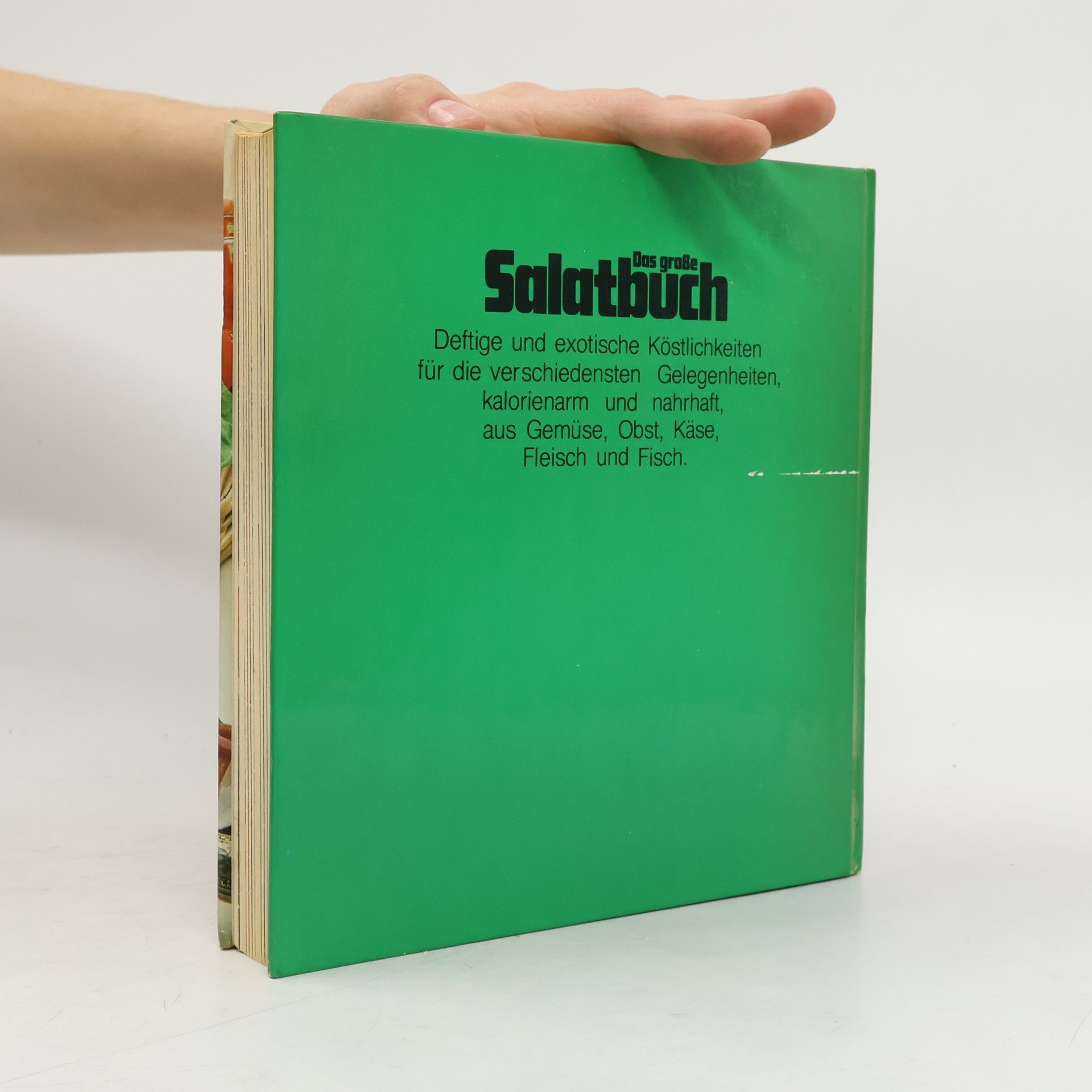 Irmgard Kohl Das grosse Salatbuch