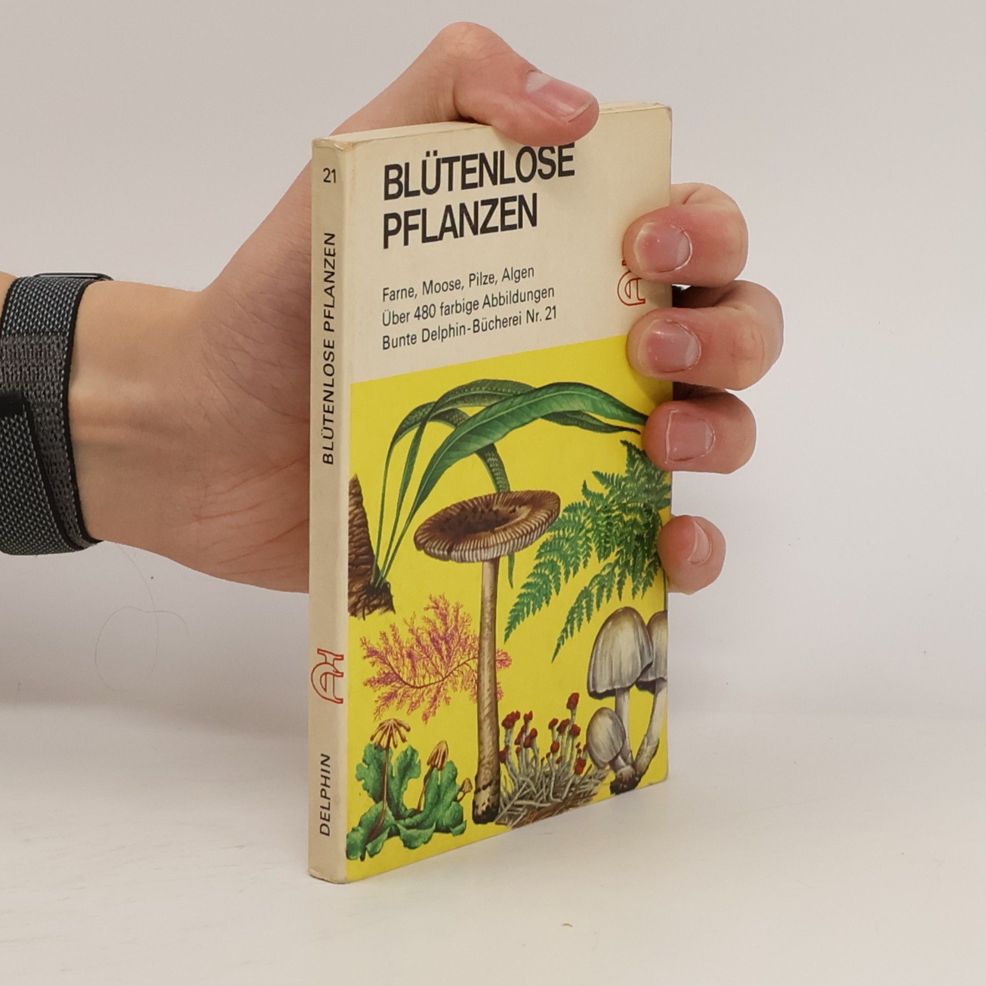 Blütenlose Pflanzen