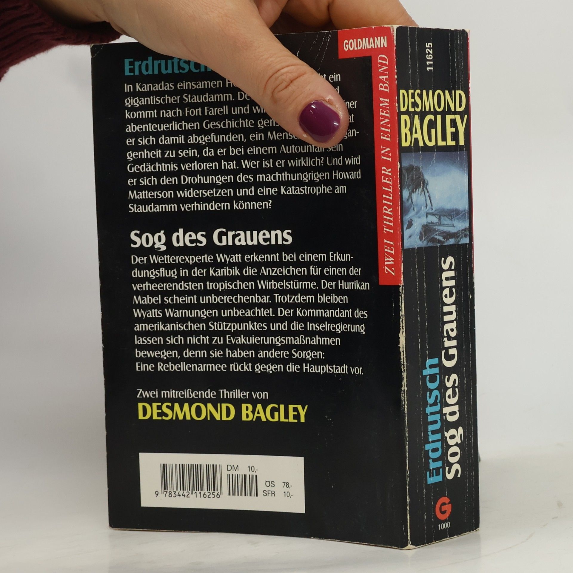Desmond Bagley Erdrutsch / Sog des Grauens