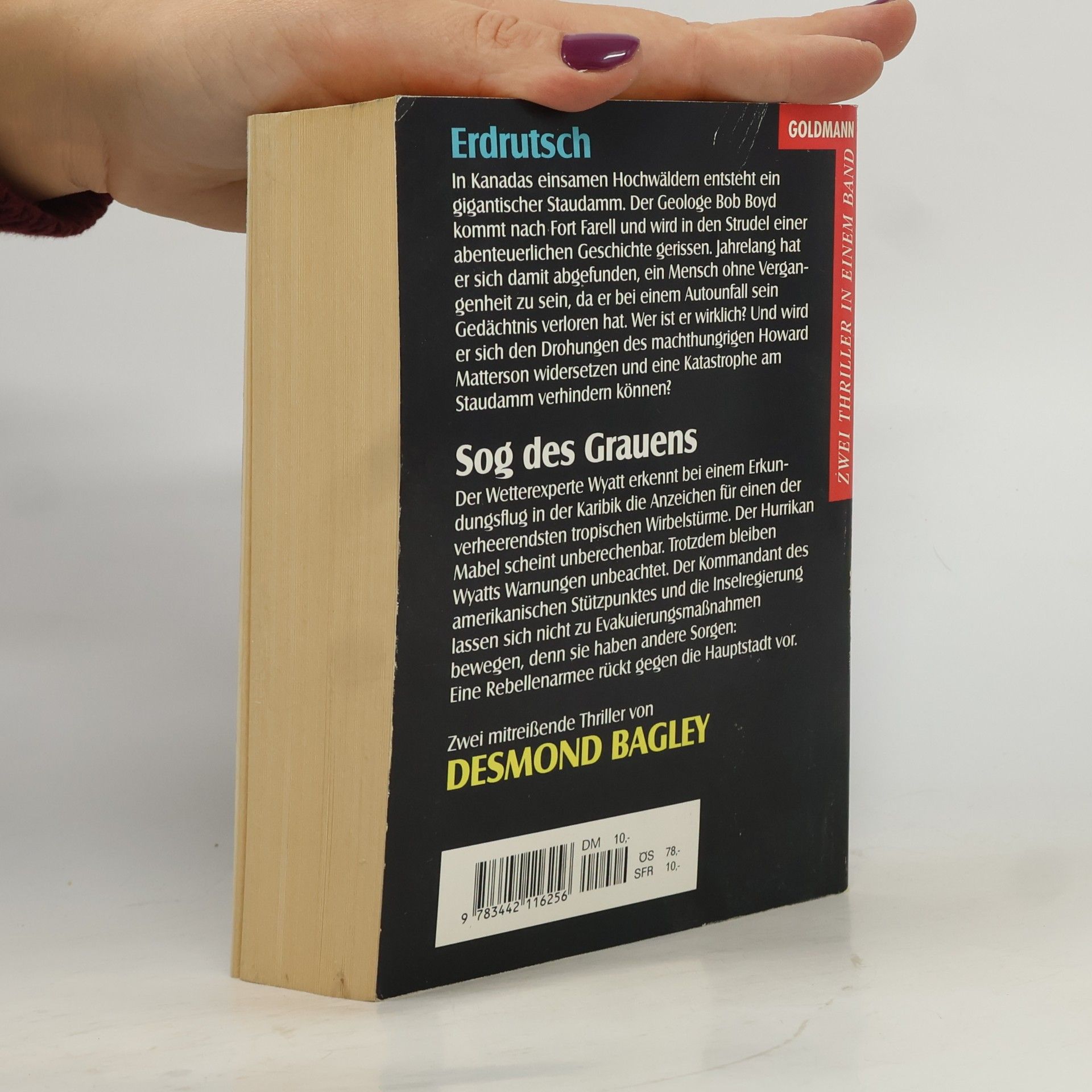 Desmond Bagley Erdrutsch / Sog des Grauens