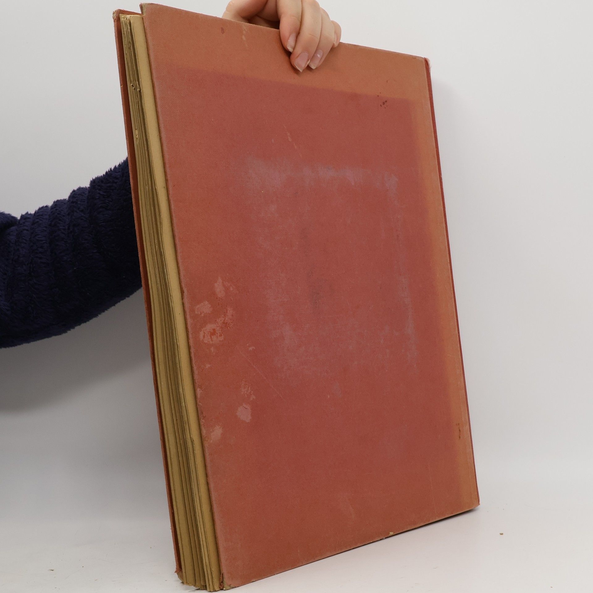 Autores varios Musik im Bild Munchen