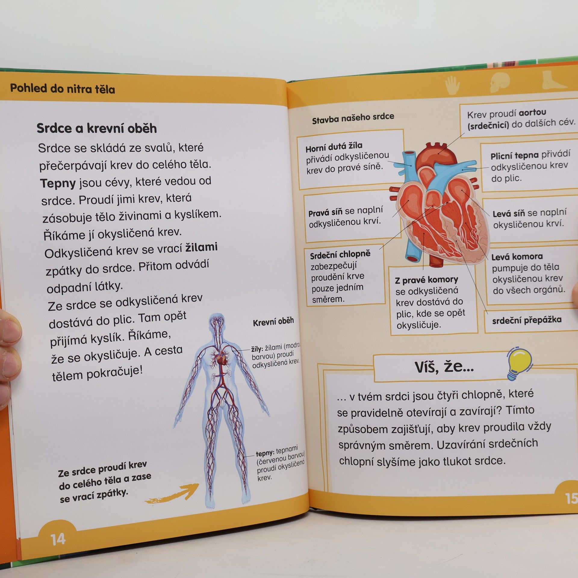 Various authors Učím se číst. Lidské tělo
