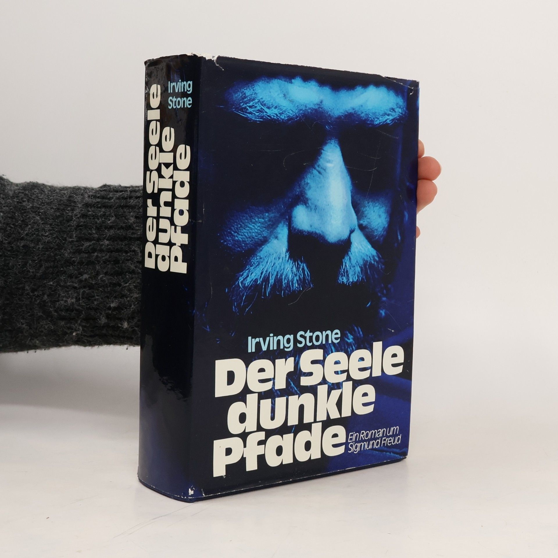 Der Seele dunkle Pfade ein Roman um Sigmund Freud