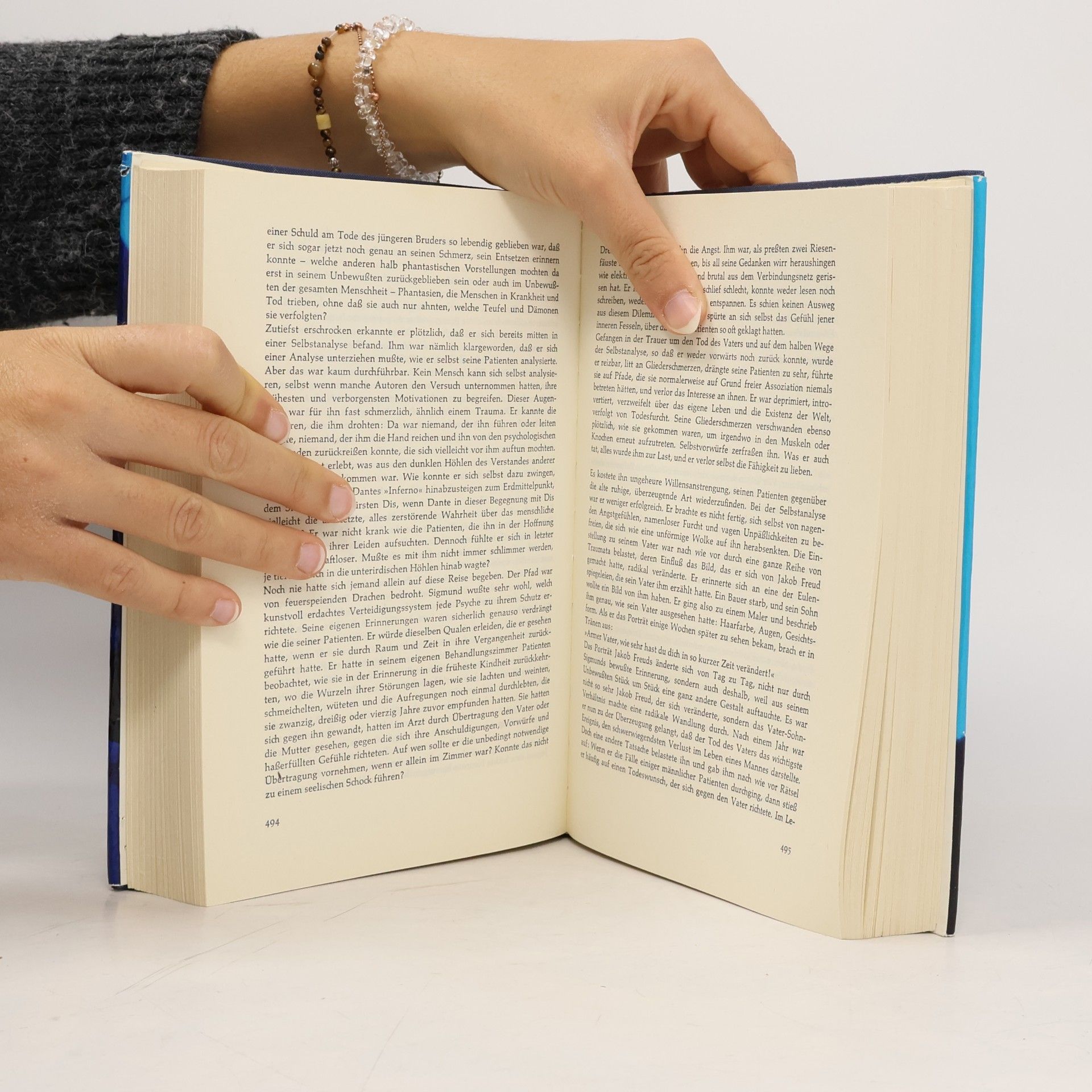 Irving Stone Der Seele dunkle Pfade ein Roman um Sigmund Freud
