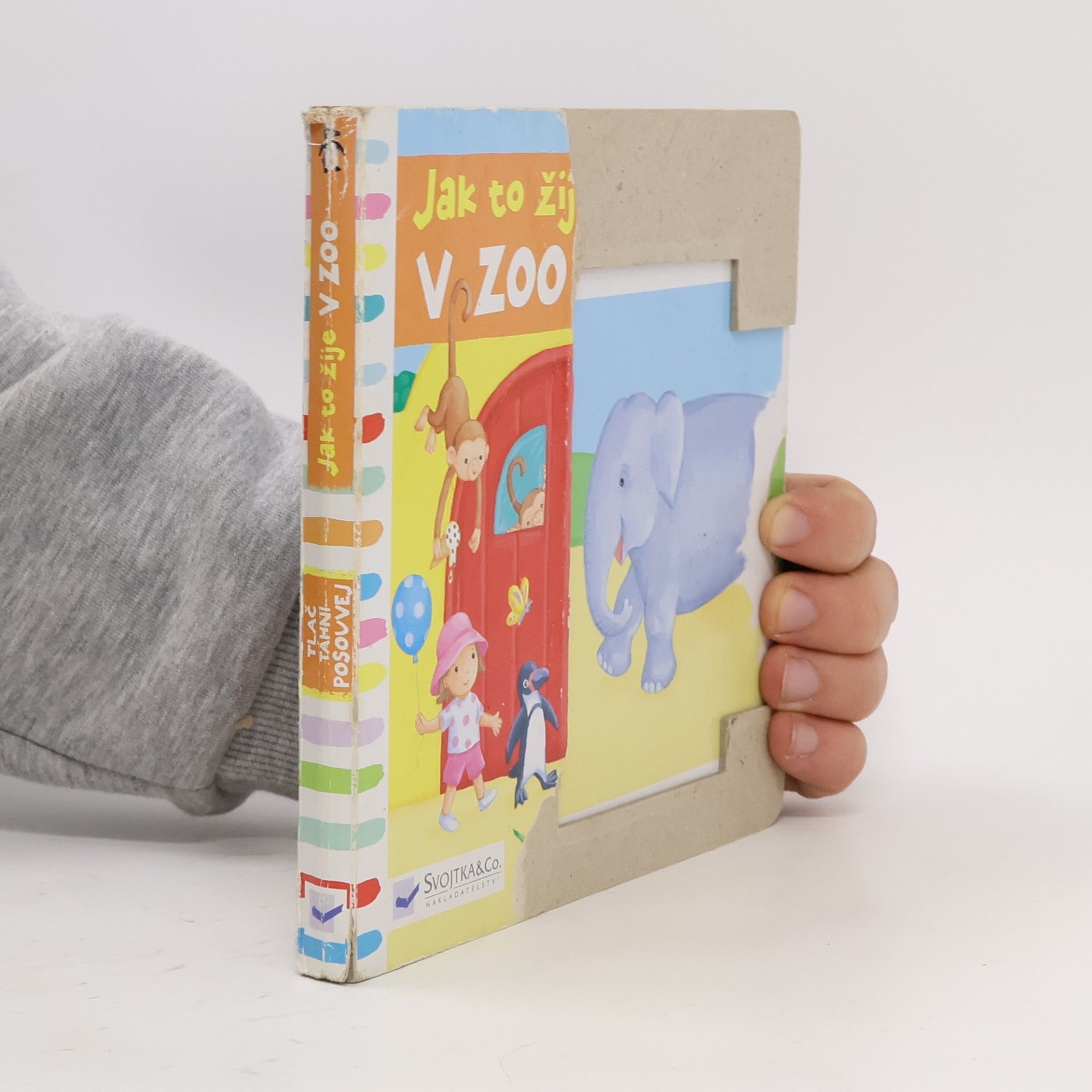 Rebecca Finn Jak to žije v zoo