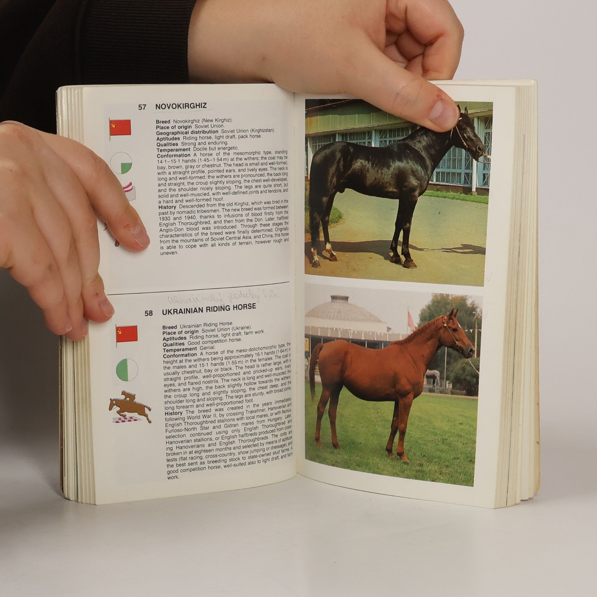 Maurizio Bongianni Simon & Schuster's Guide to Horses and Ponies