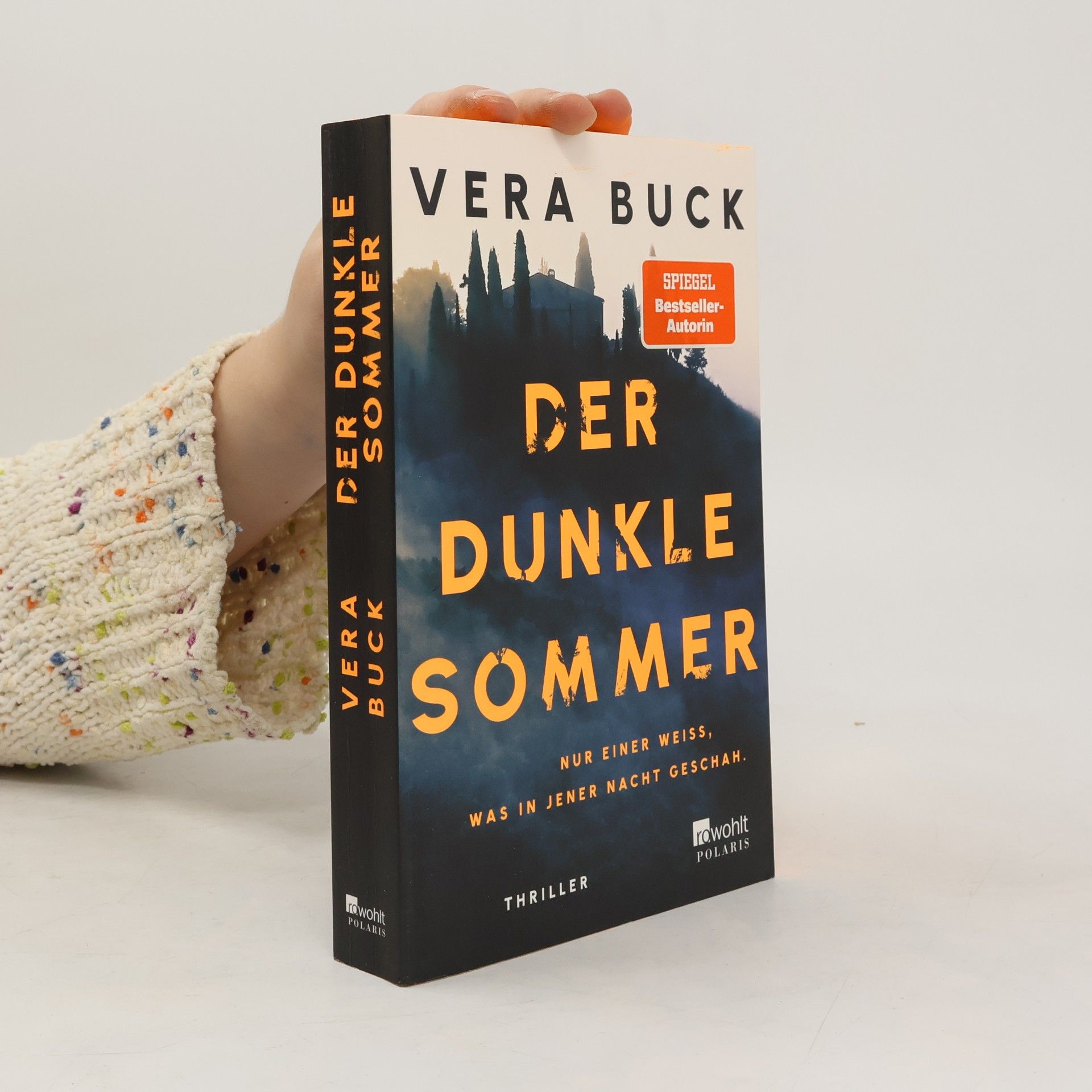 Der dunkle Sommer