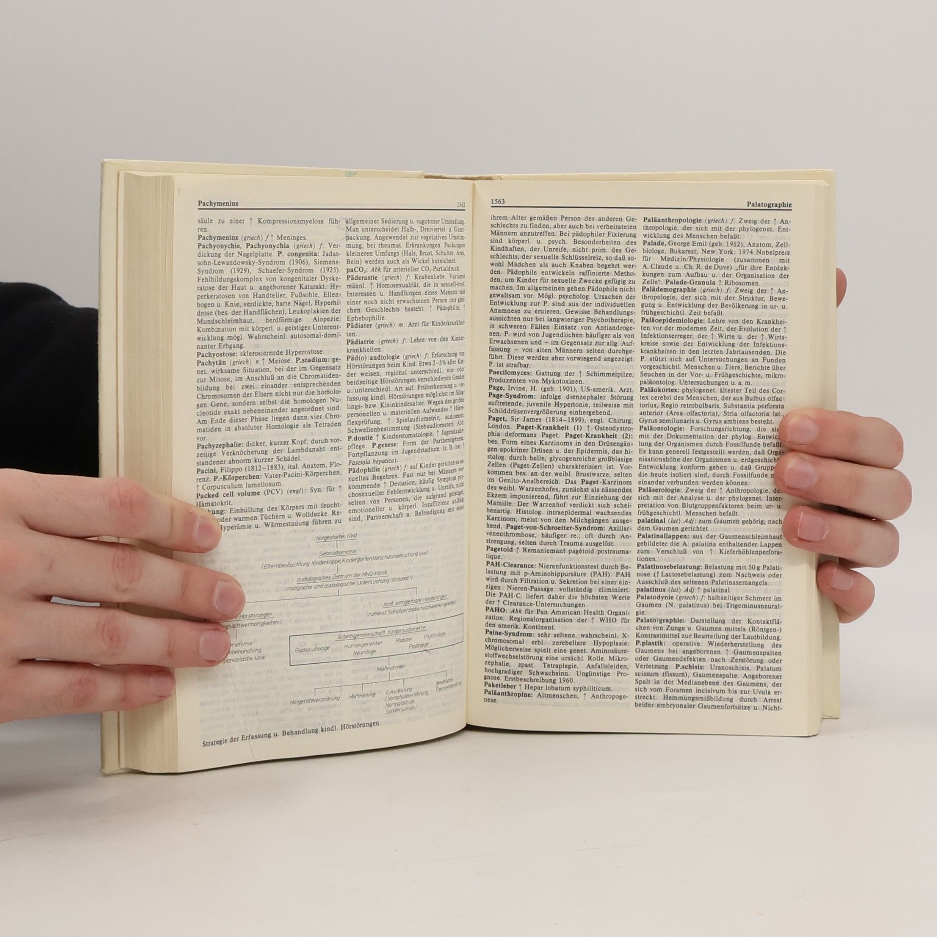 Heinz David Wörterbuch der Medizin 2. L-Z