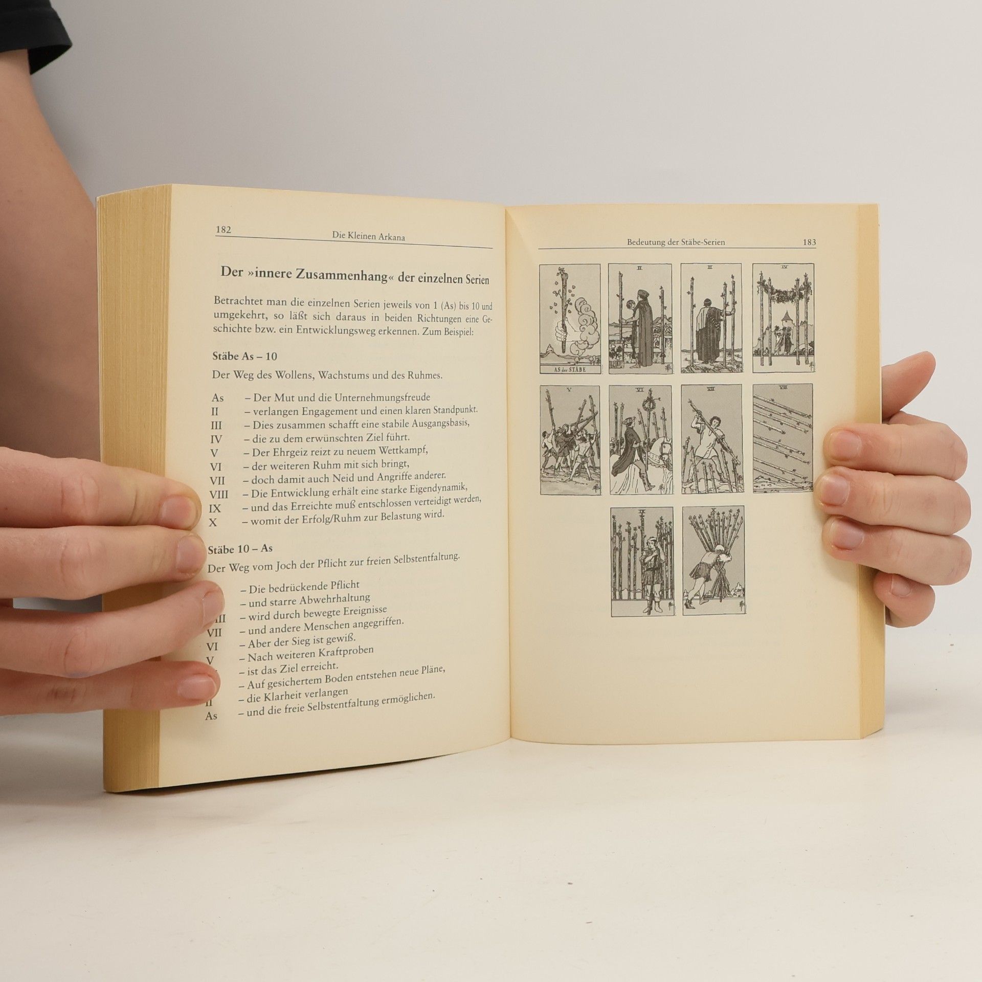 Hajo Banzhaf Das Tarot-Handbuch