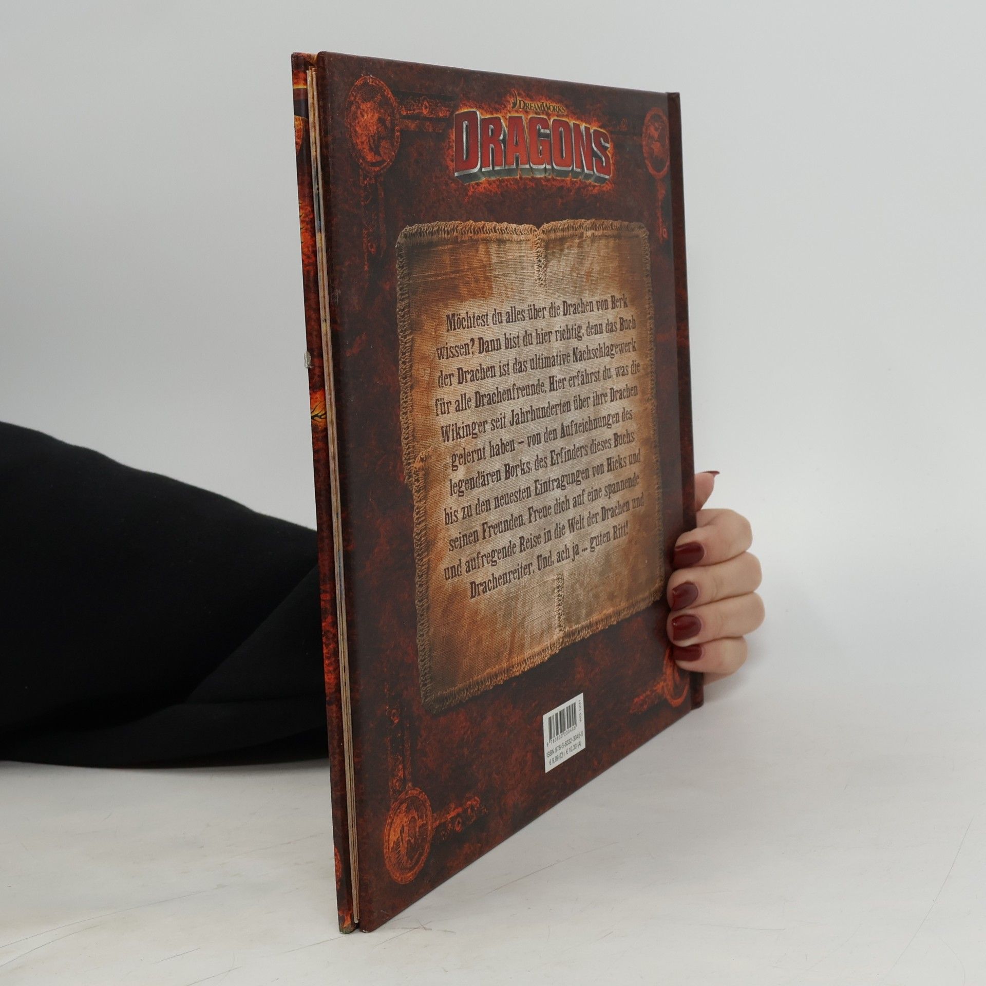 Maggie Testa Dragons - das Buch der Drachen