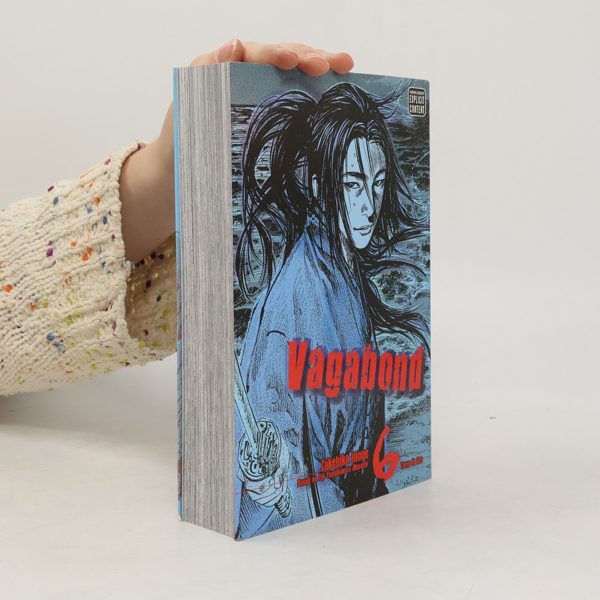 Vagabond 6