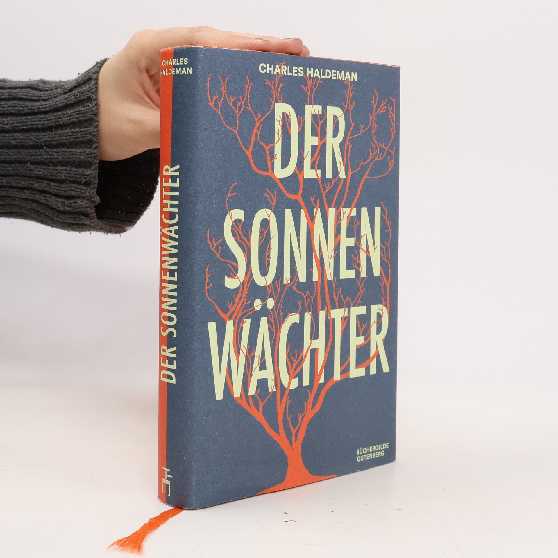 Charles Haldeman Der Sonnenwächter