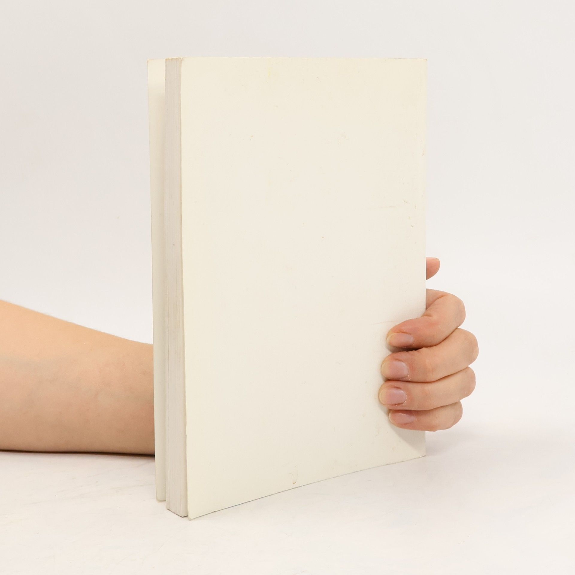 Mike Eulner Das Fetenbuch