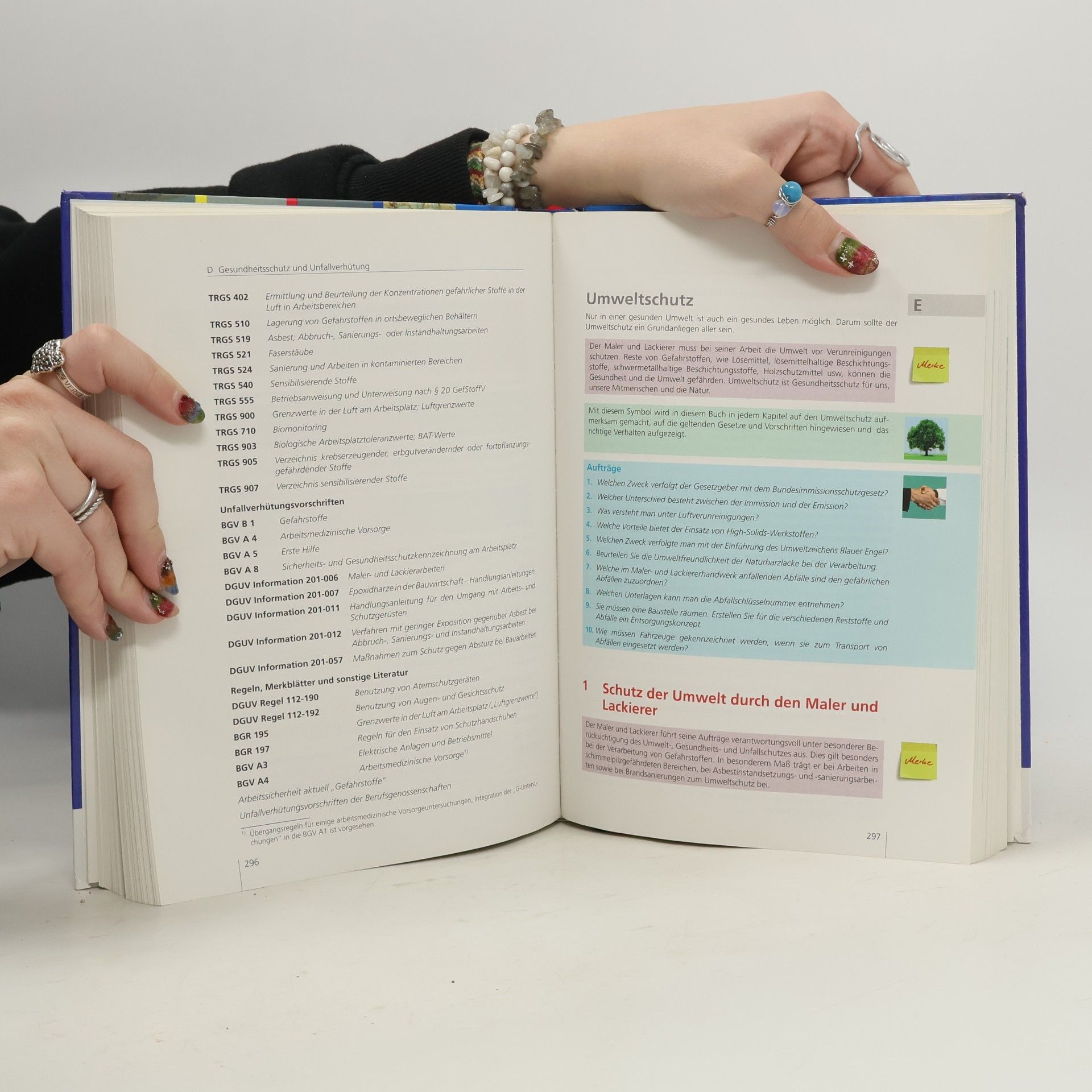 Michael Bablick Das Meisterbuch für Maler, -innen und Lackierer, -innen - 3. Auflage