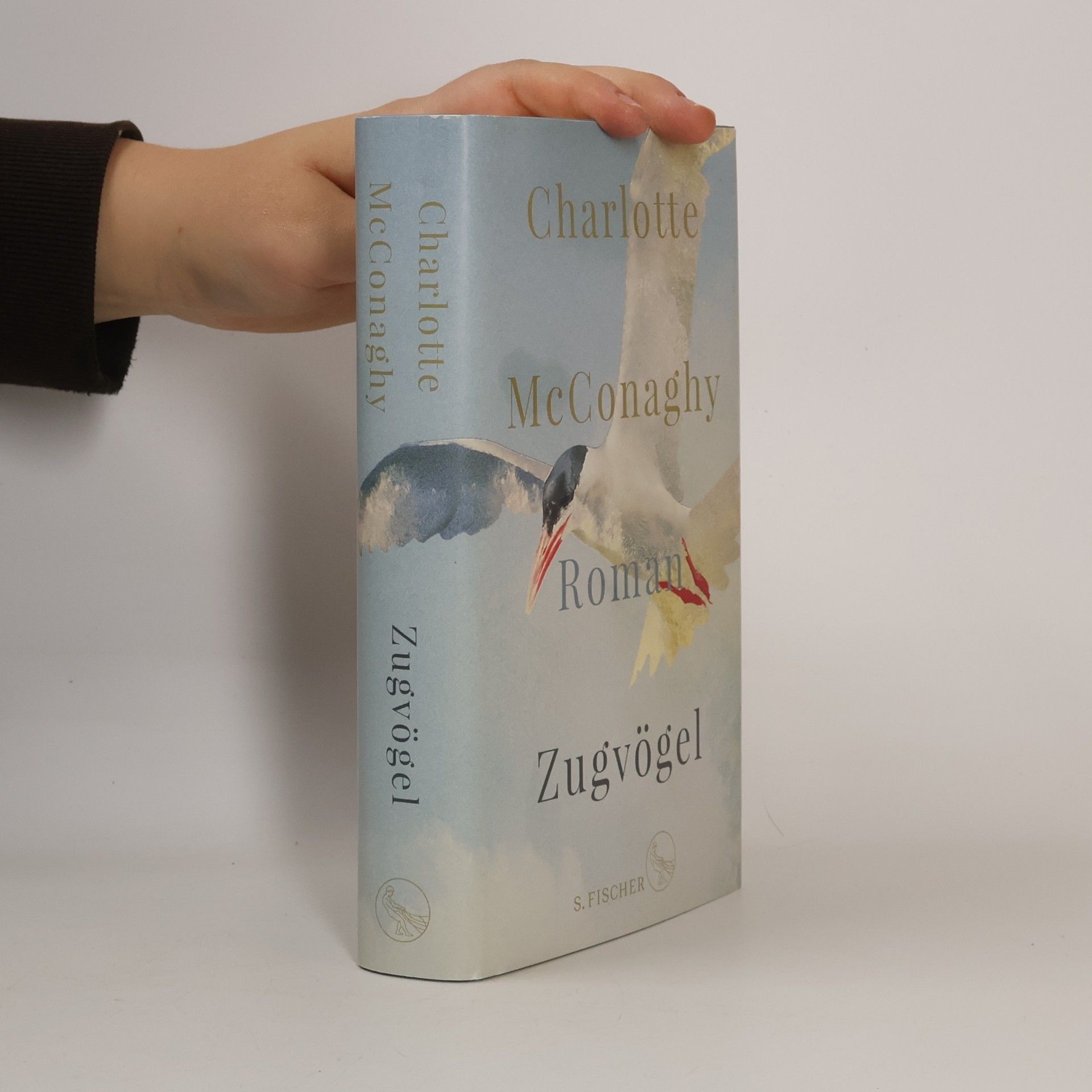 CHARLOTTE. MCCONAGHY Zugvögel