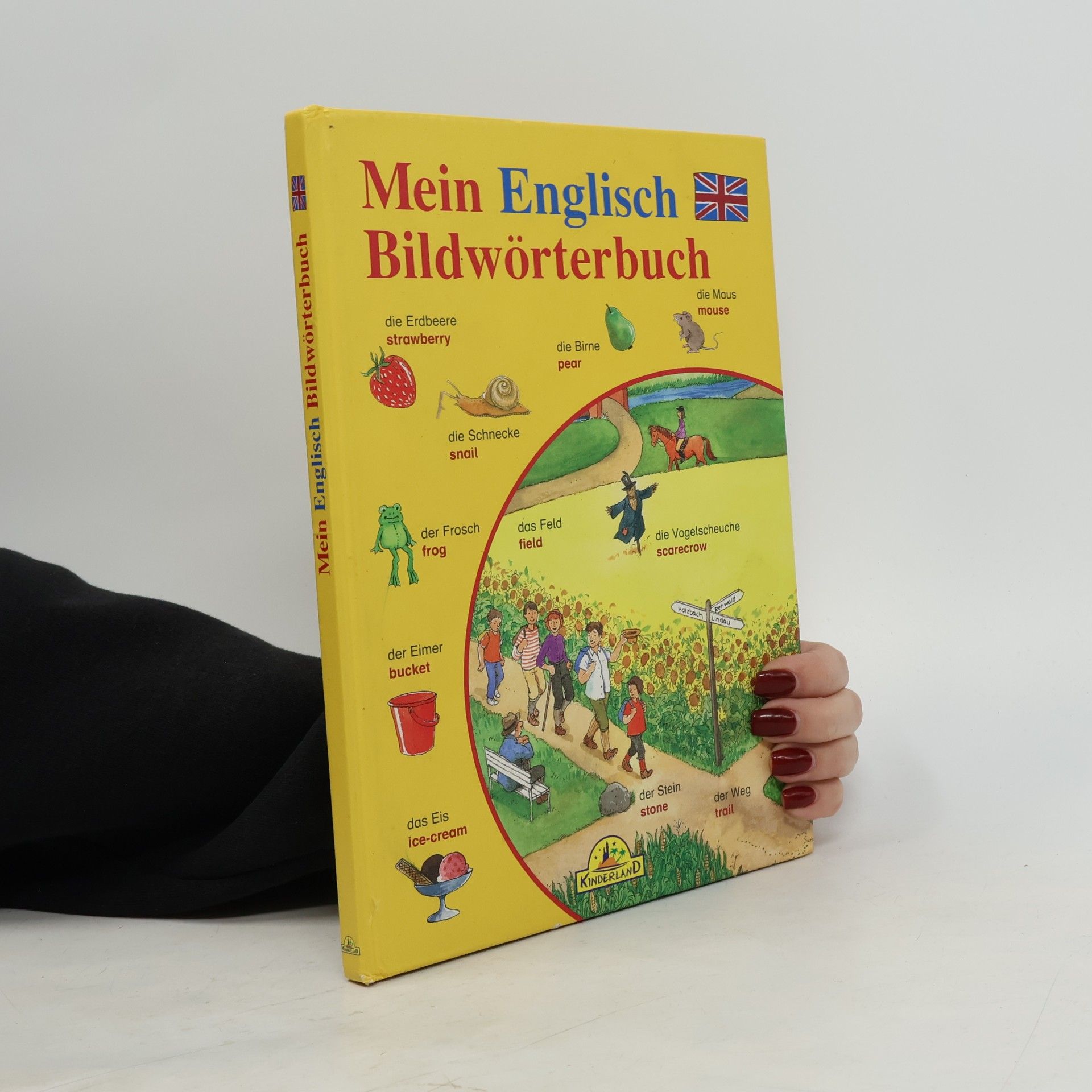 Angela Weinhold Mein Englisch Bildwörterbuch