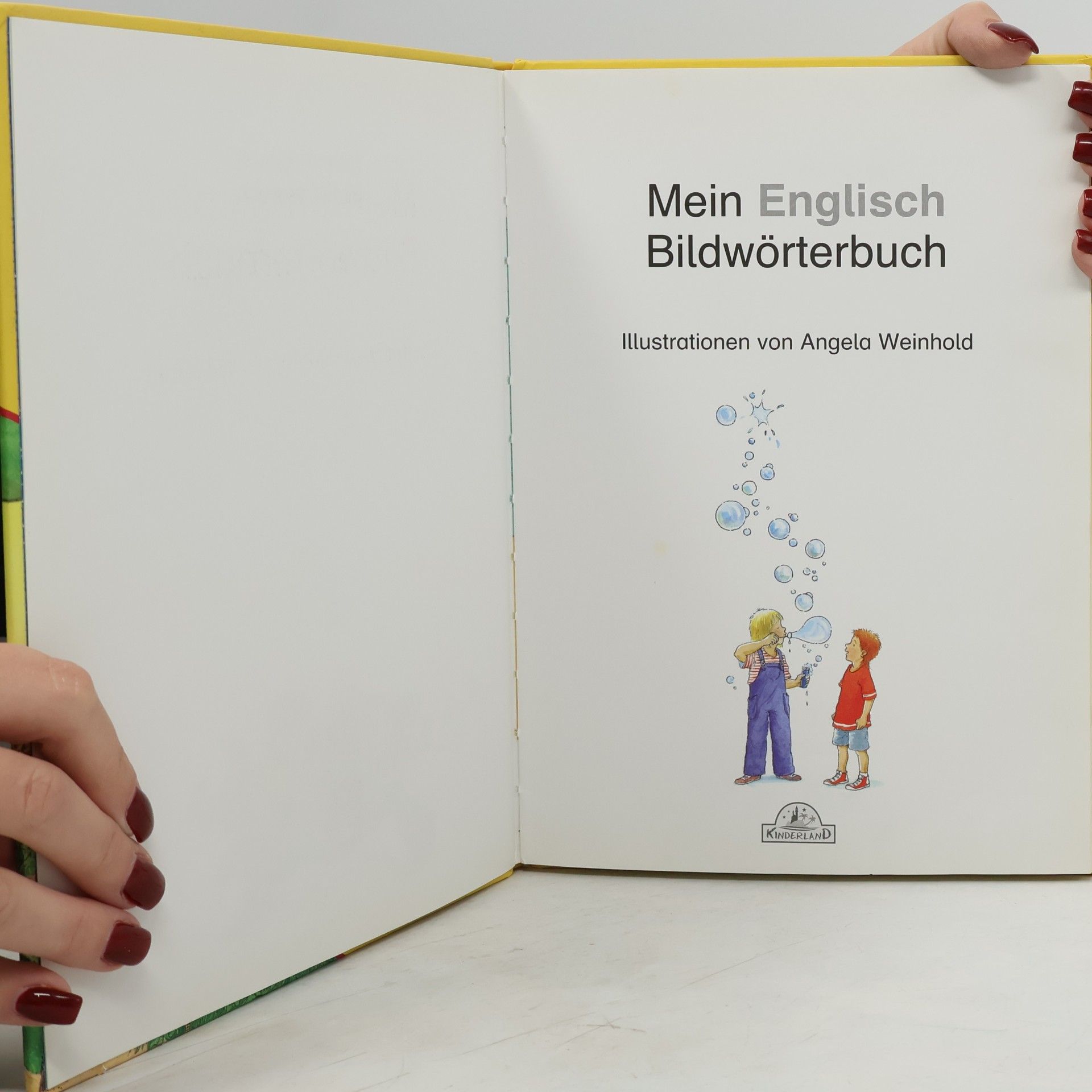 Angela Weinhold Mein Englisch Bildwörterbuch