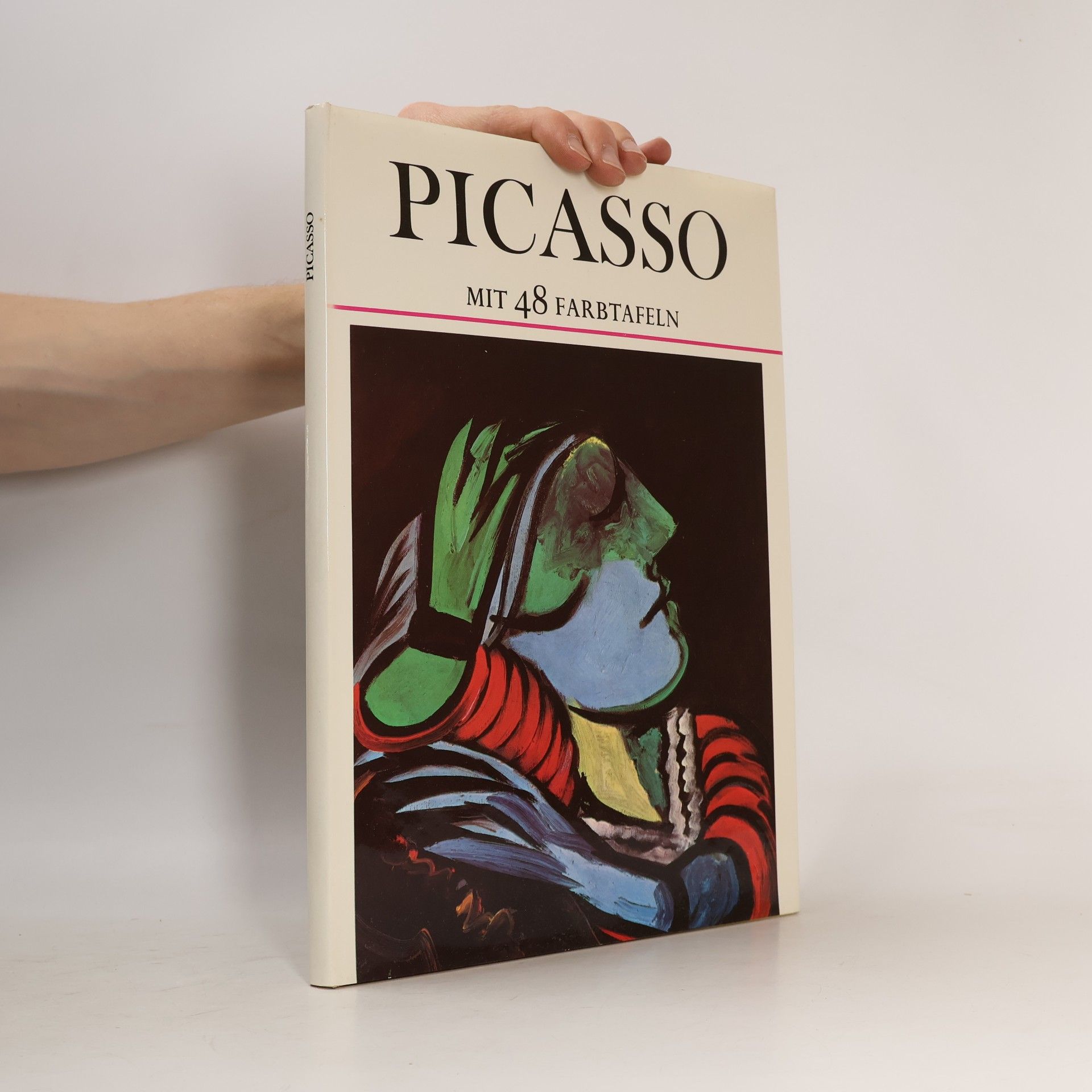 Picasso mit 48 Farbtafeln
