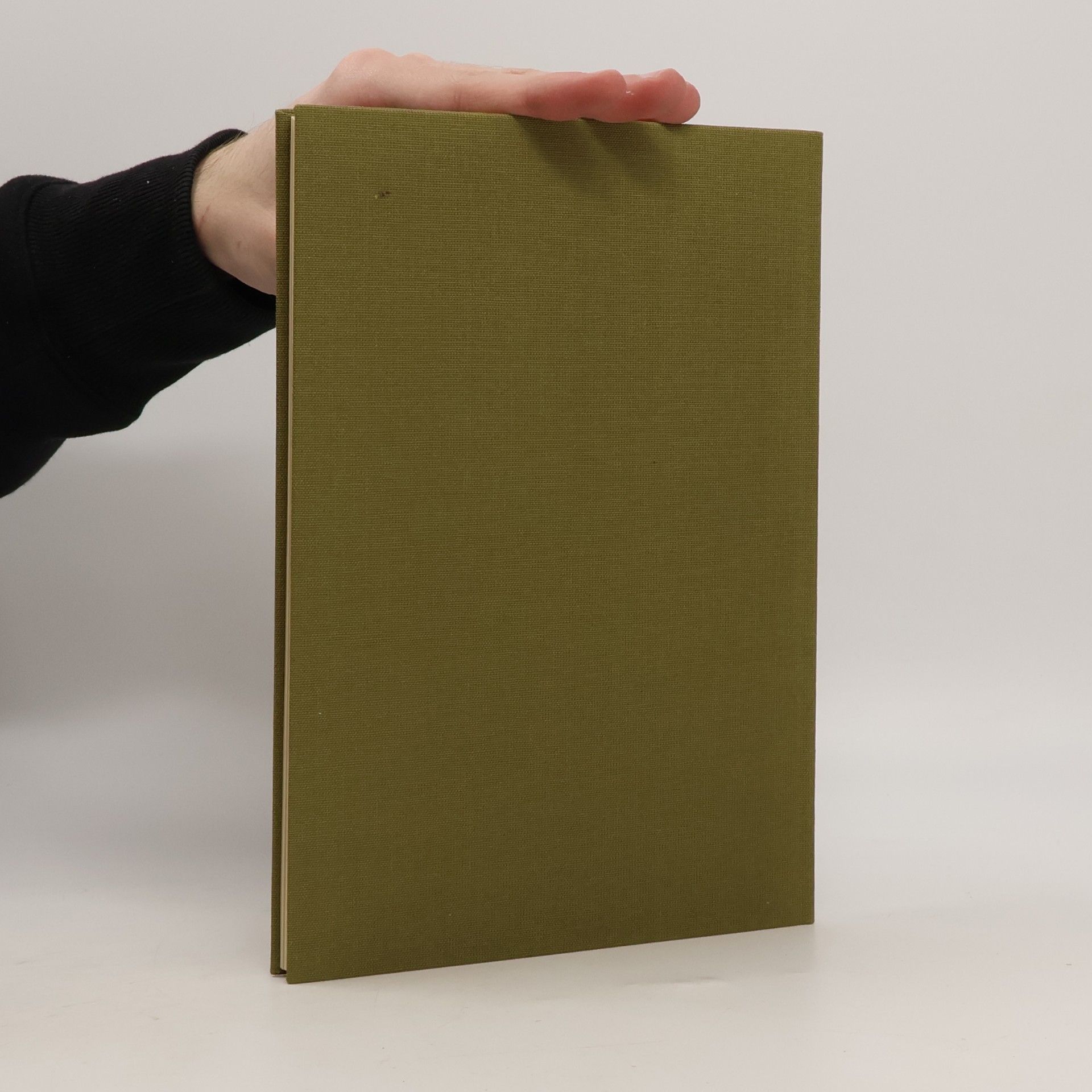 Joachim Schildt Martin Luther und die deutsche Bibel